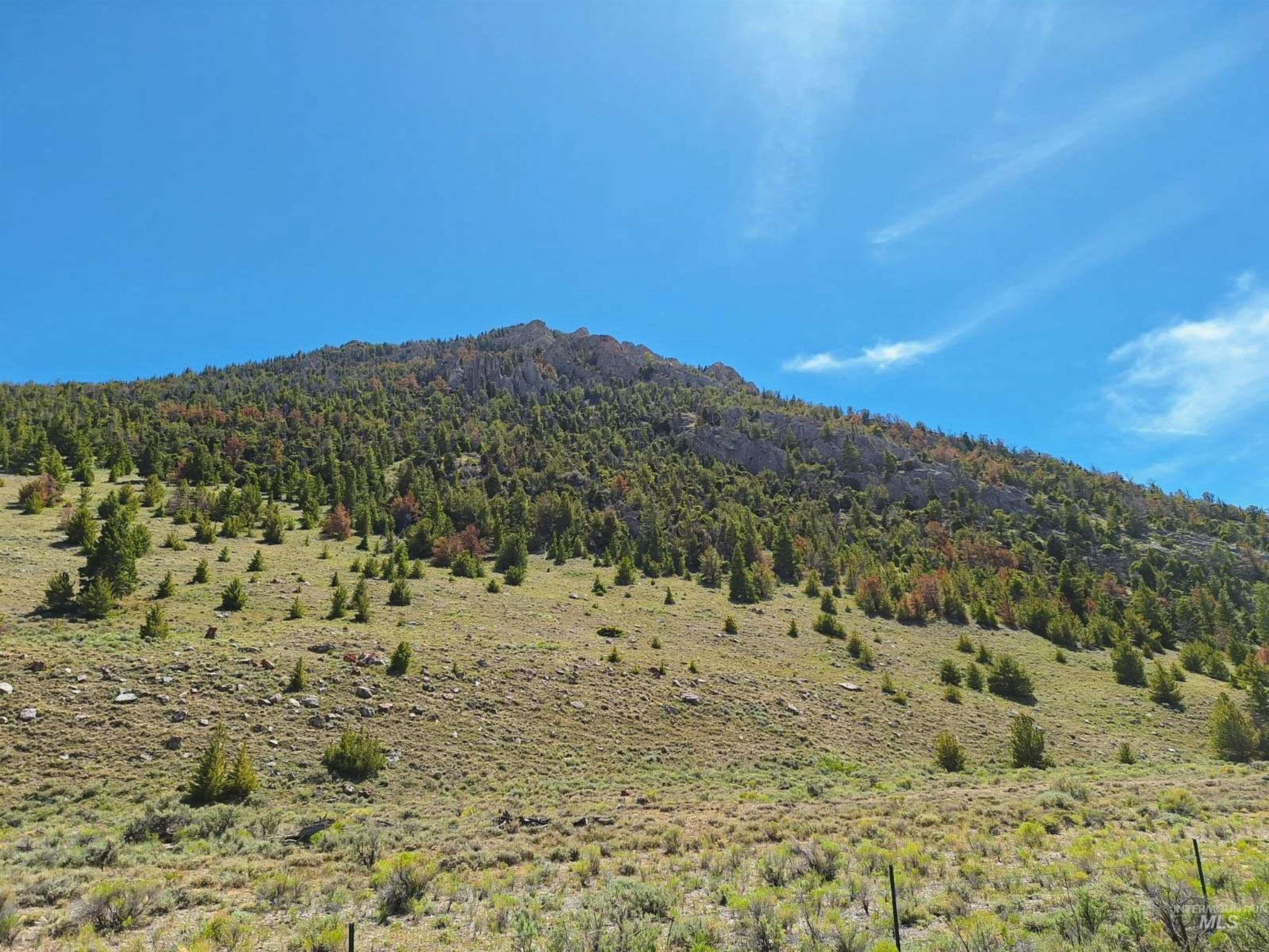 Dry Creek Road/donkey Hills Property Photo 2