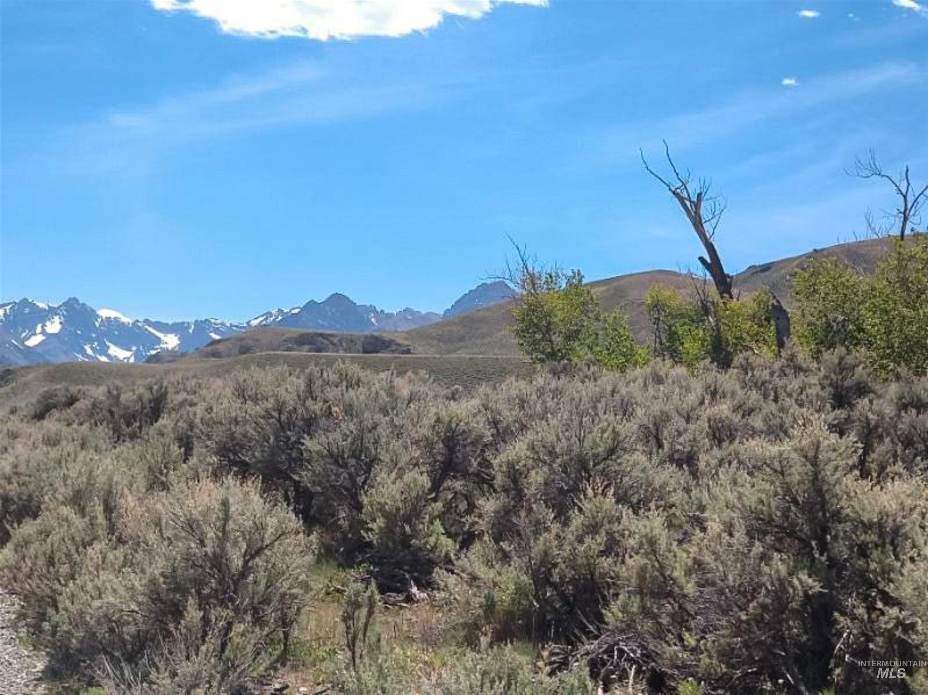 Dry Creek Road/donkey Hills Property Photo 4