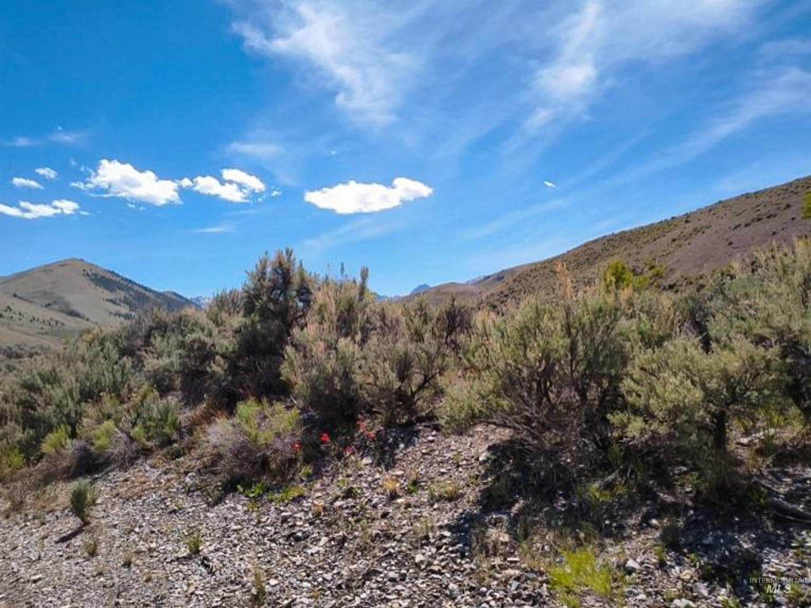 Dry Creek Road/donkey Hills Property Photo 5