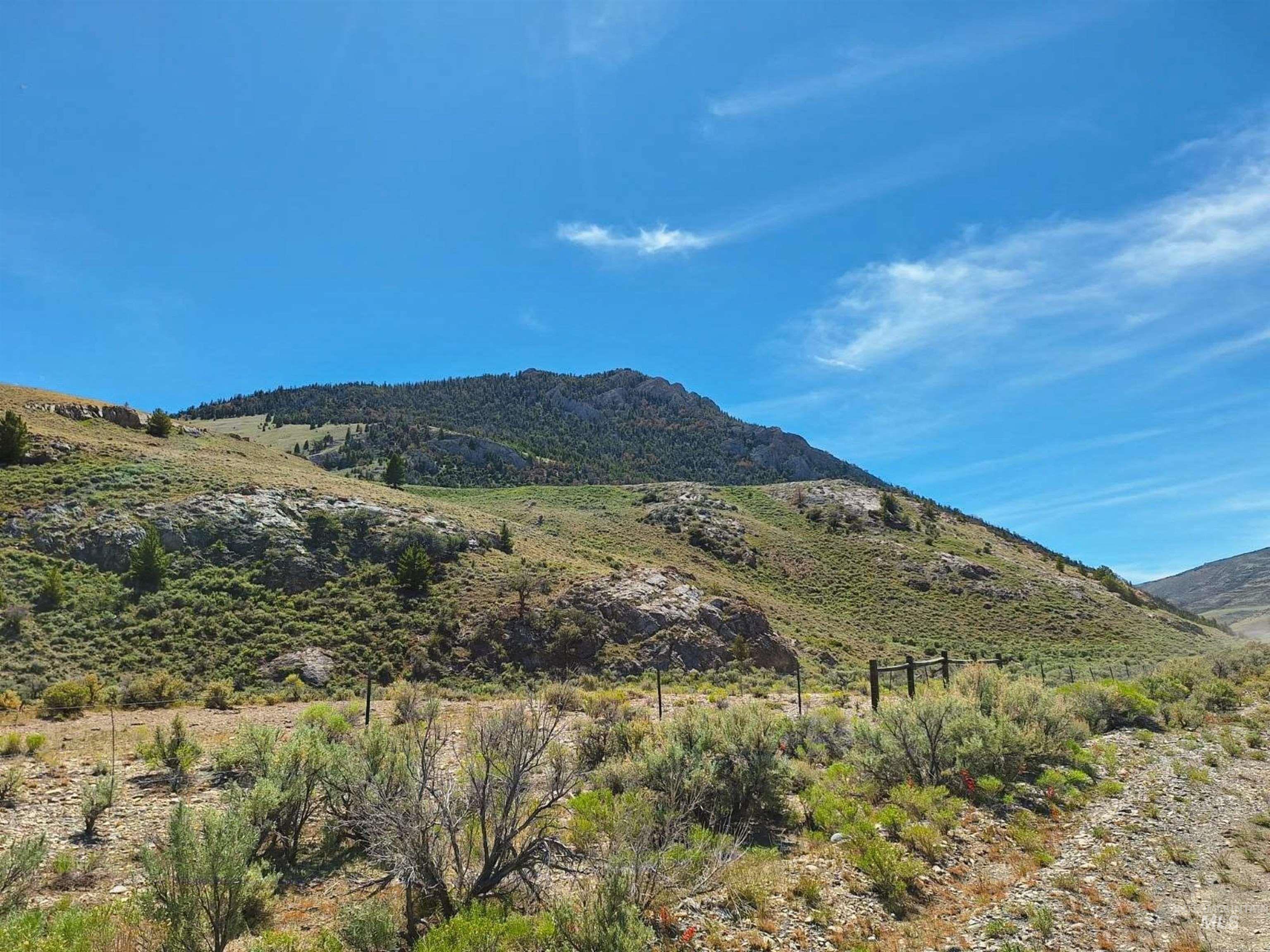 Dry Creek Road/donkey Hills Property Photo 6