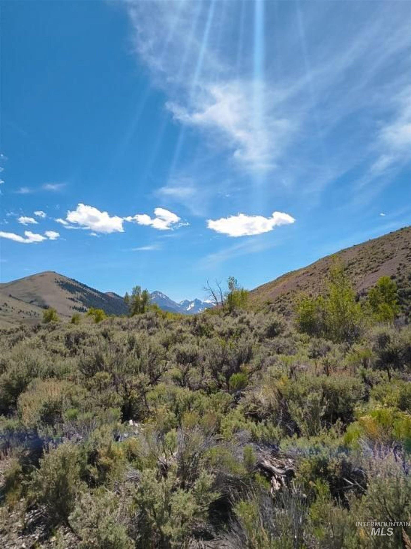 Dry Creek Road/donkey Hills Property Photo 7