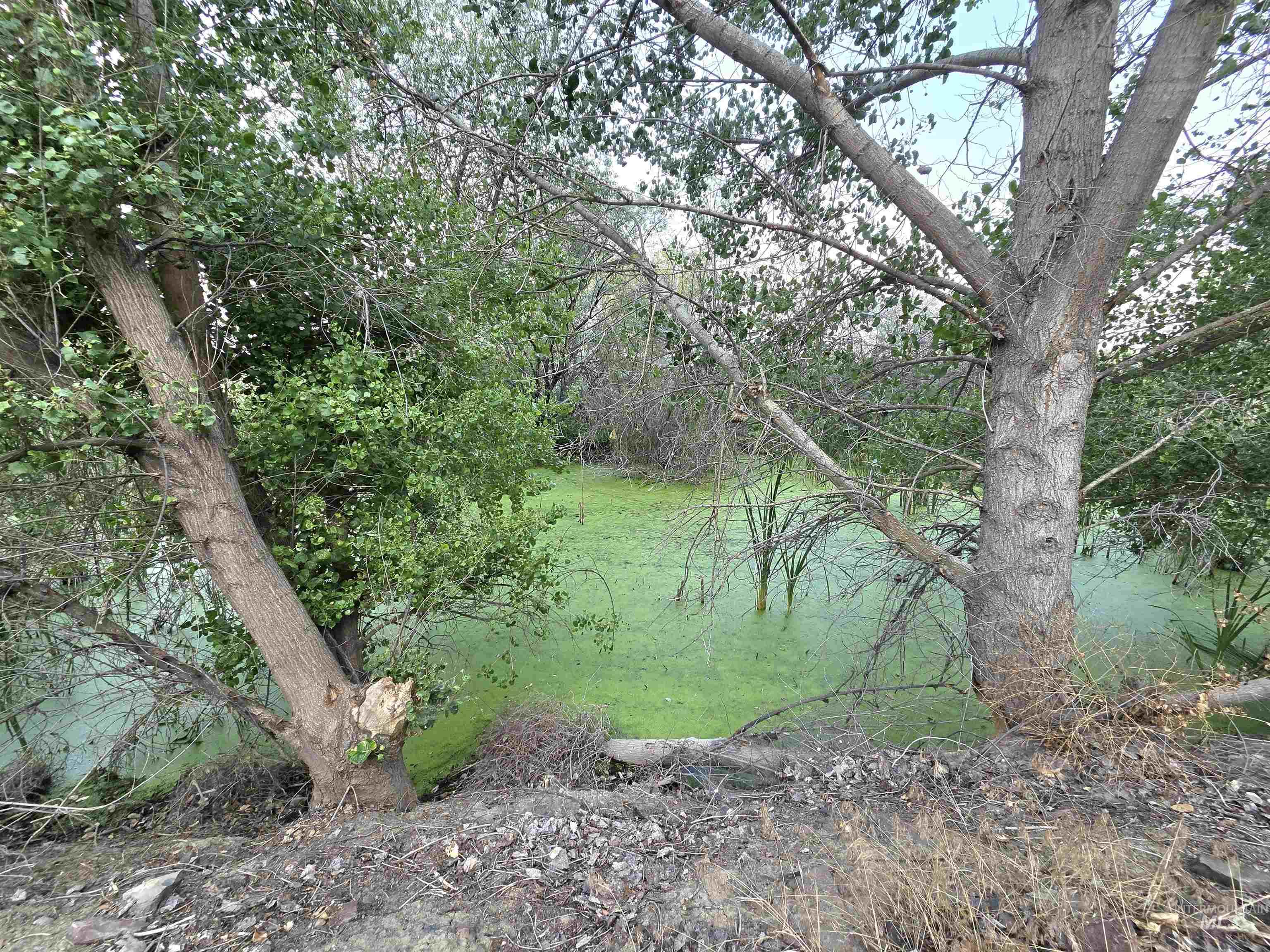 757 Foothill Dr Property Photo 31
