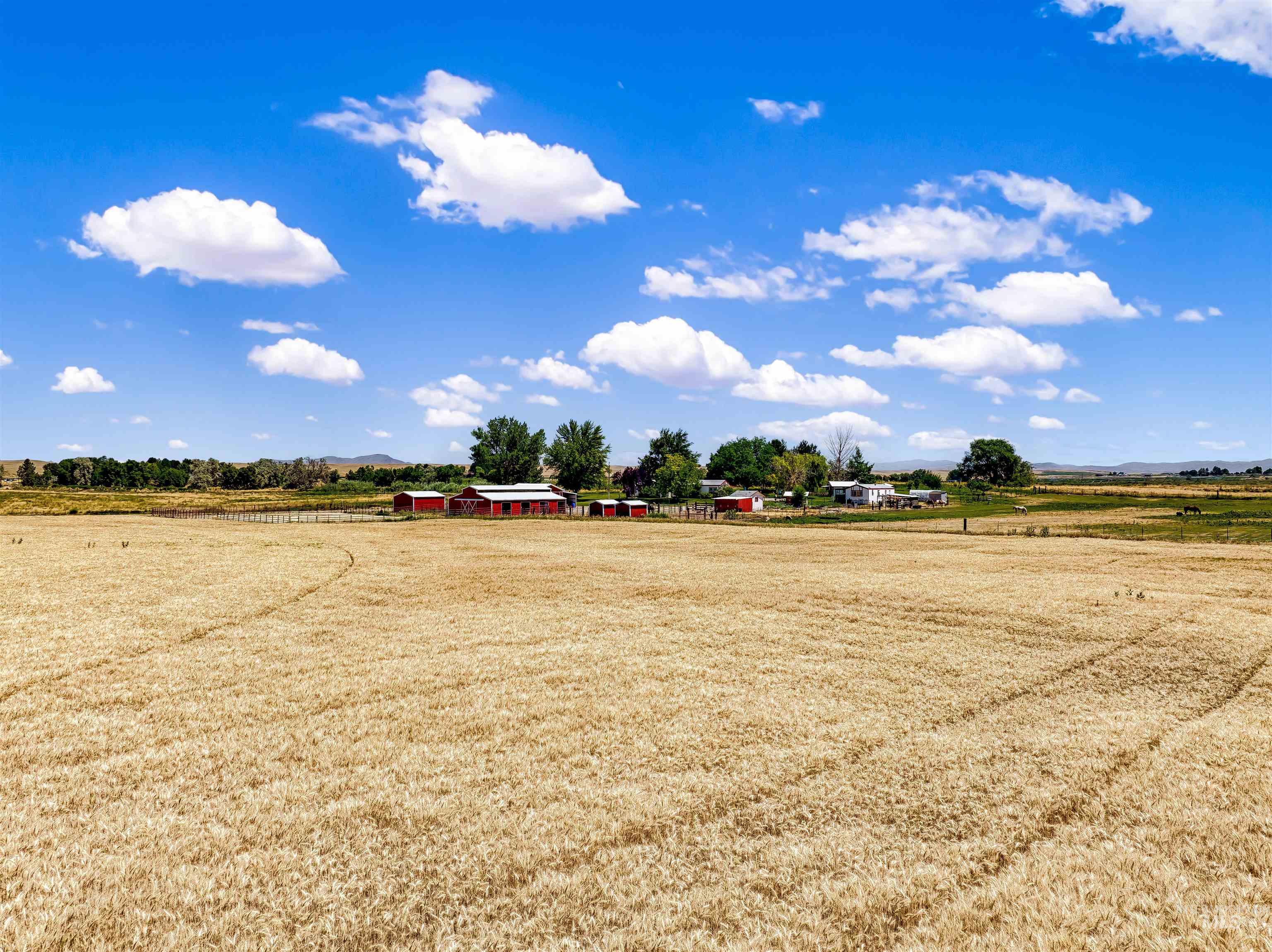 26550 Middleton Road Property Photo 49
