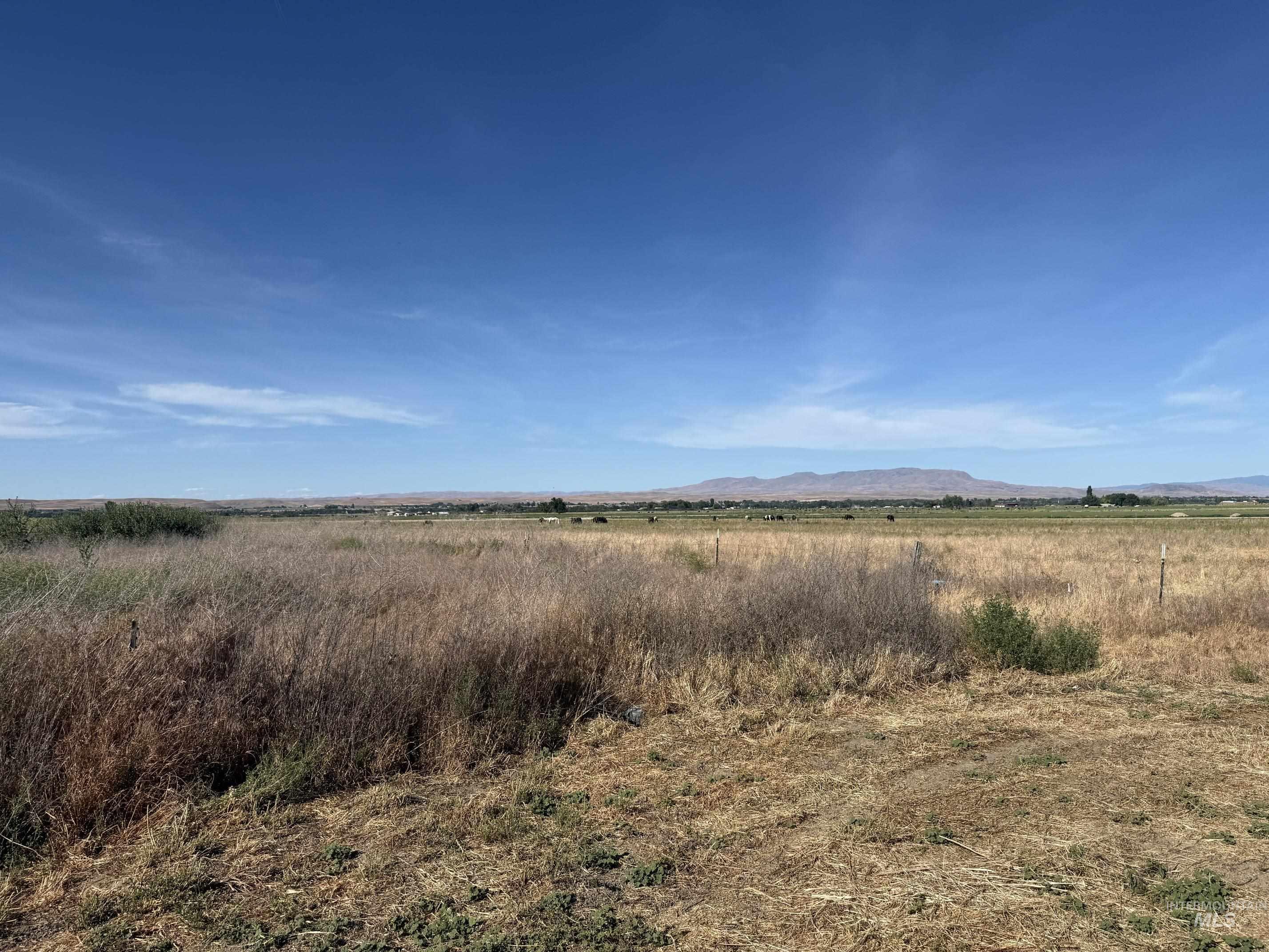 Tbd Dewey Rd Property Photo 4