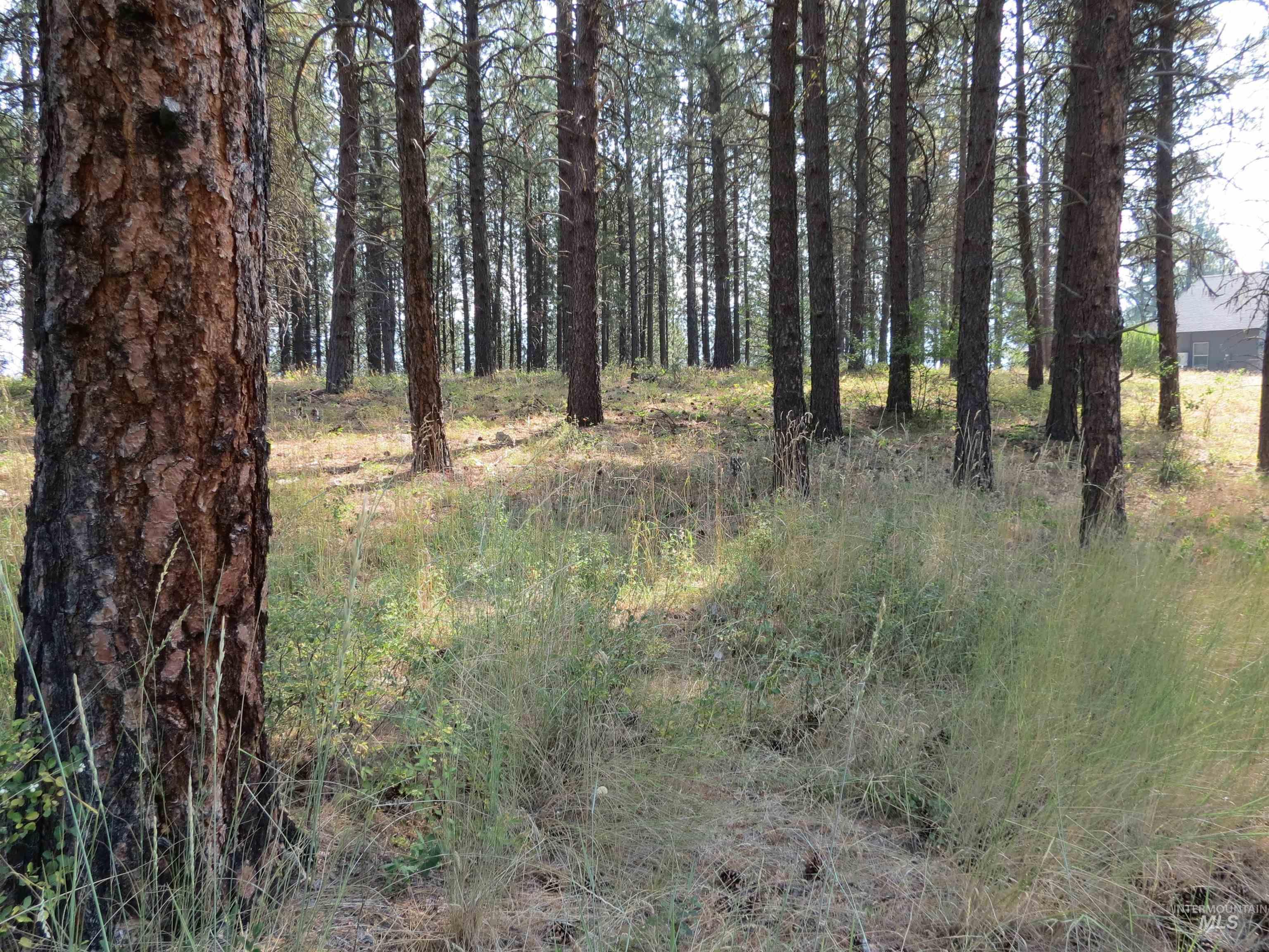 Lot 64 White Pine Dr. Property Photo 1