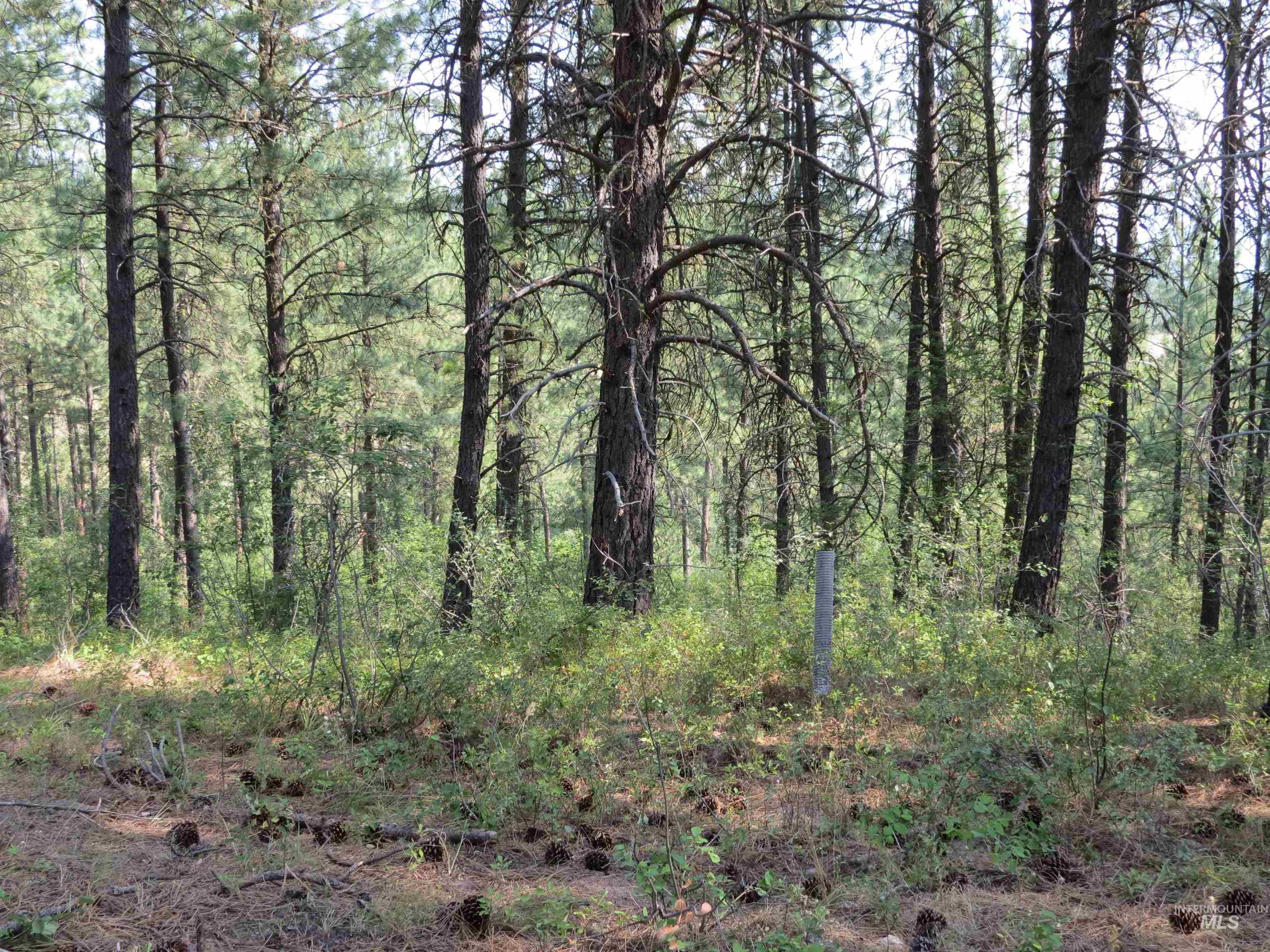 Lot 64 White Pine Dr. Property Photo 3