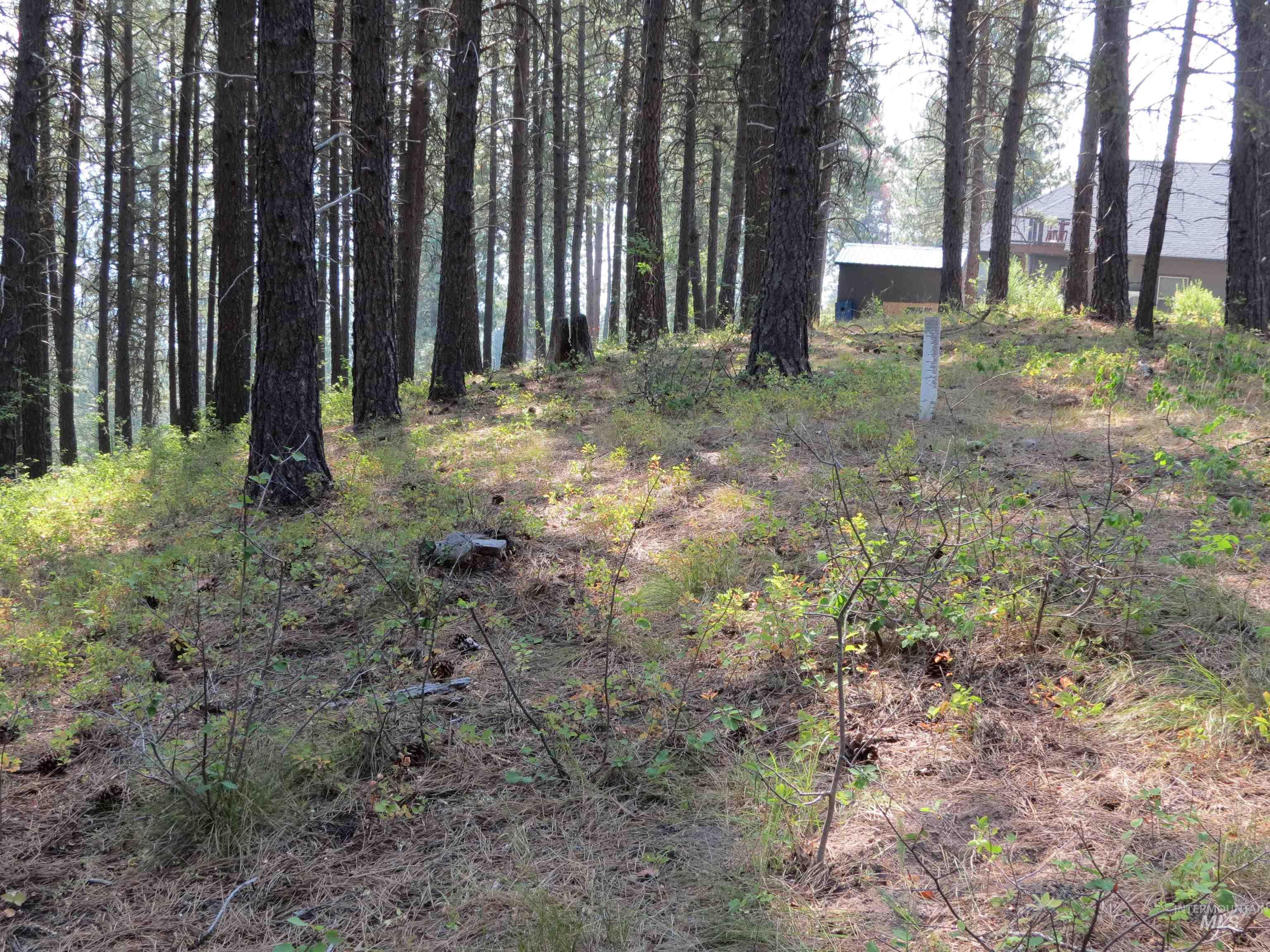 Lot 64 White Pine Dr. Property Photo 5