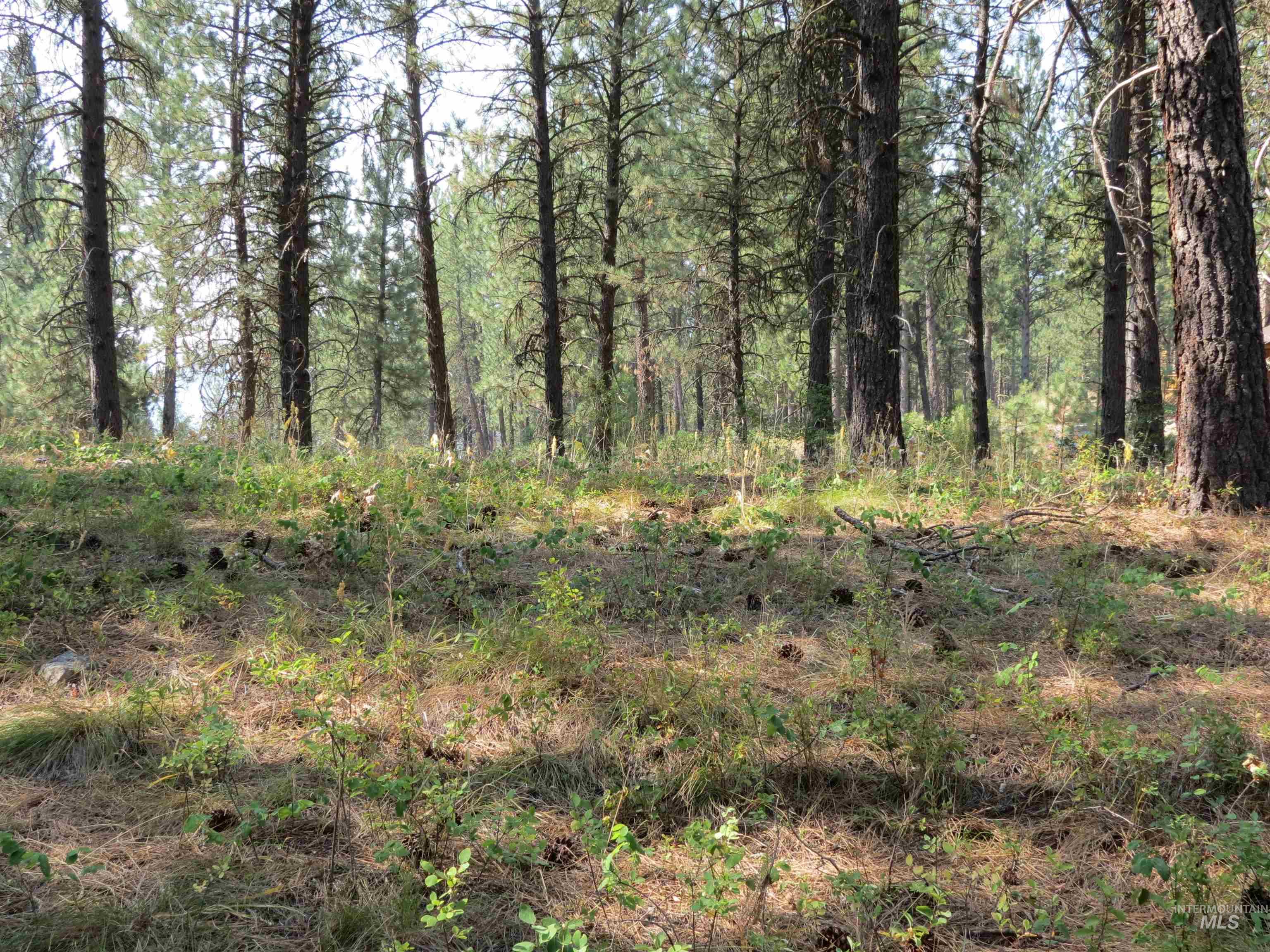 Lot 64 White Pine Dr. Property Photo 6