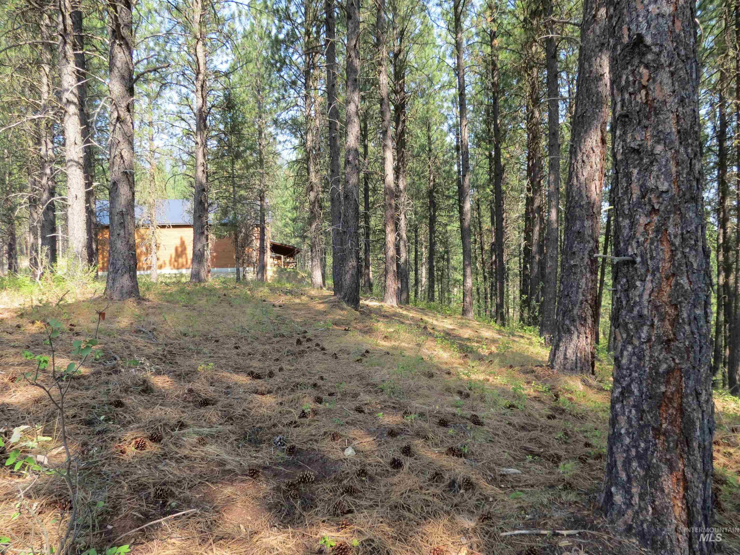 Lot 64 White Pine Dr. Property Photo 10