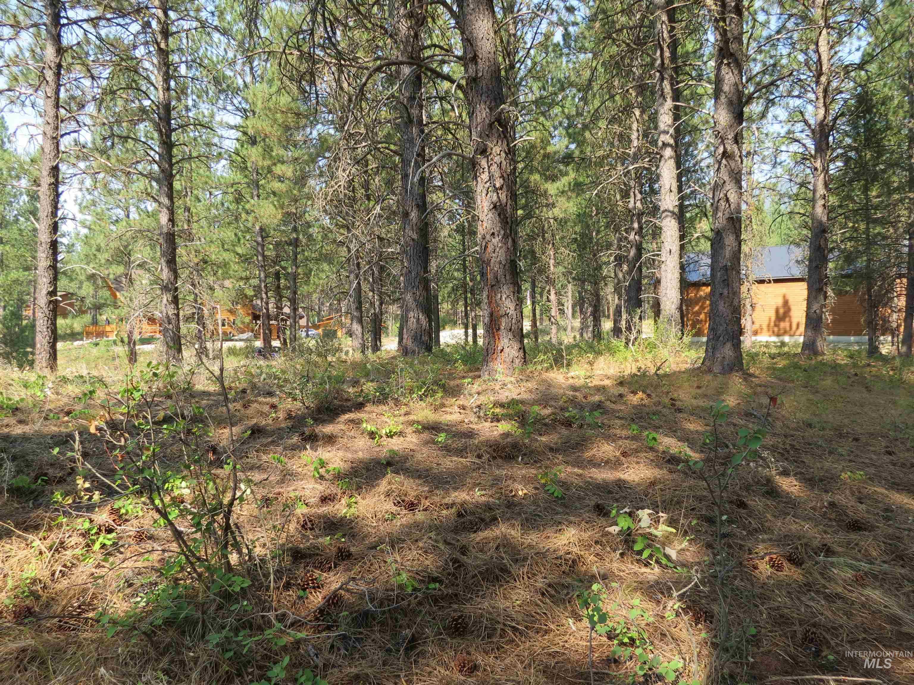 Lot 64 White Pine Dr. Property Photo 11