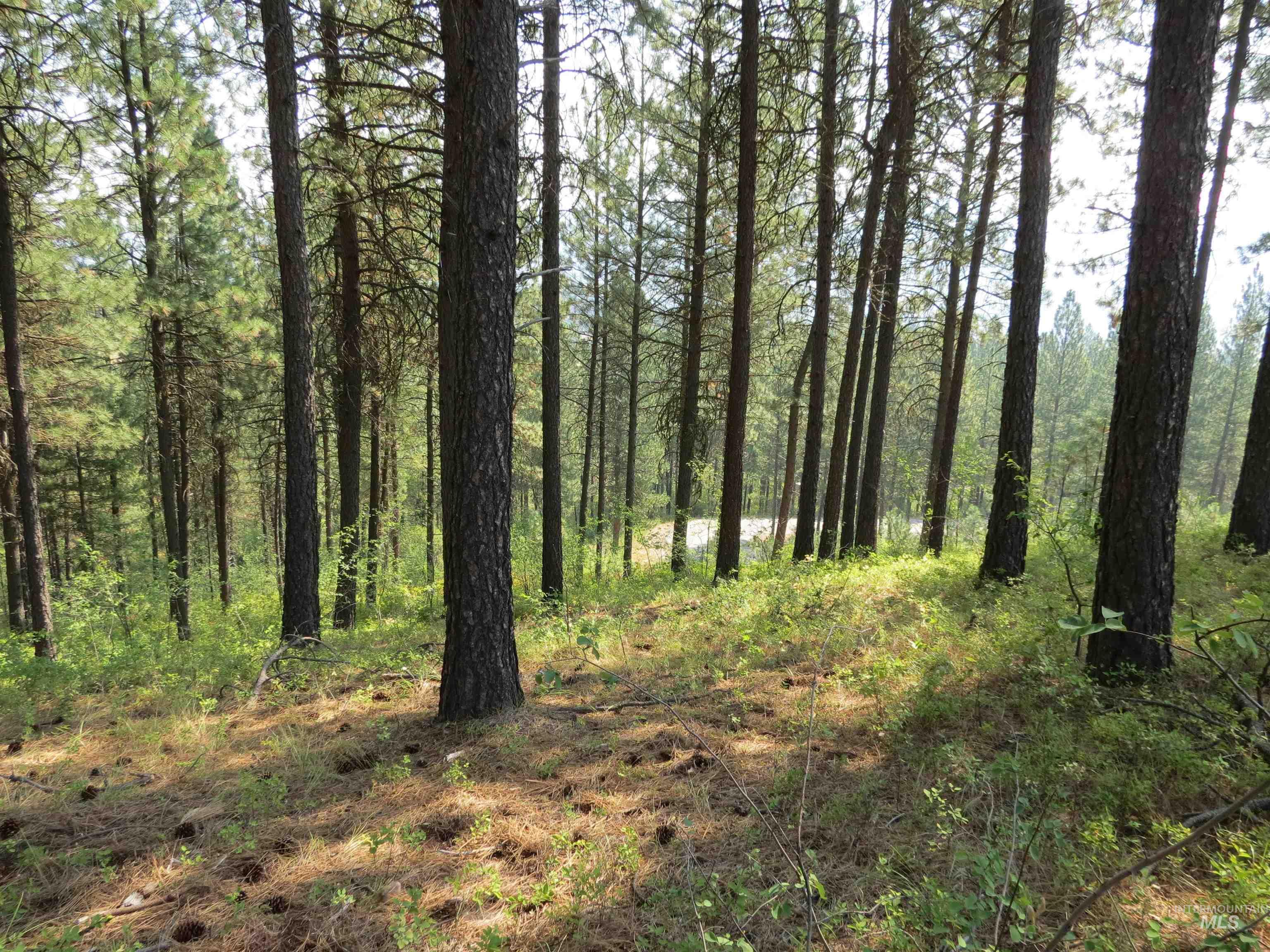 Lot 64 White Pine Dr. Property Photo 12