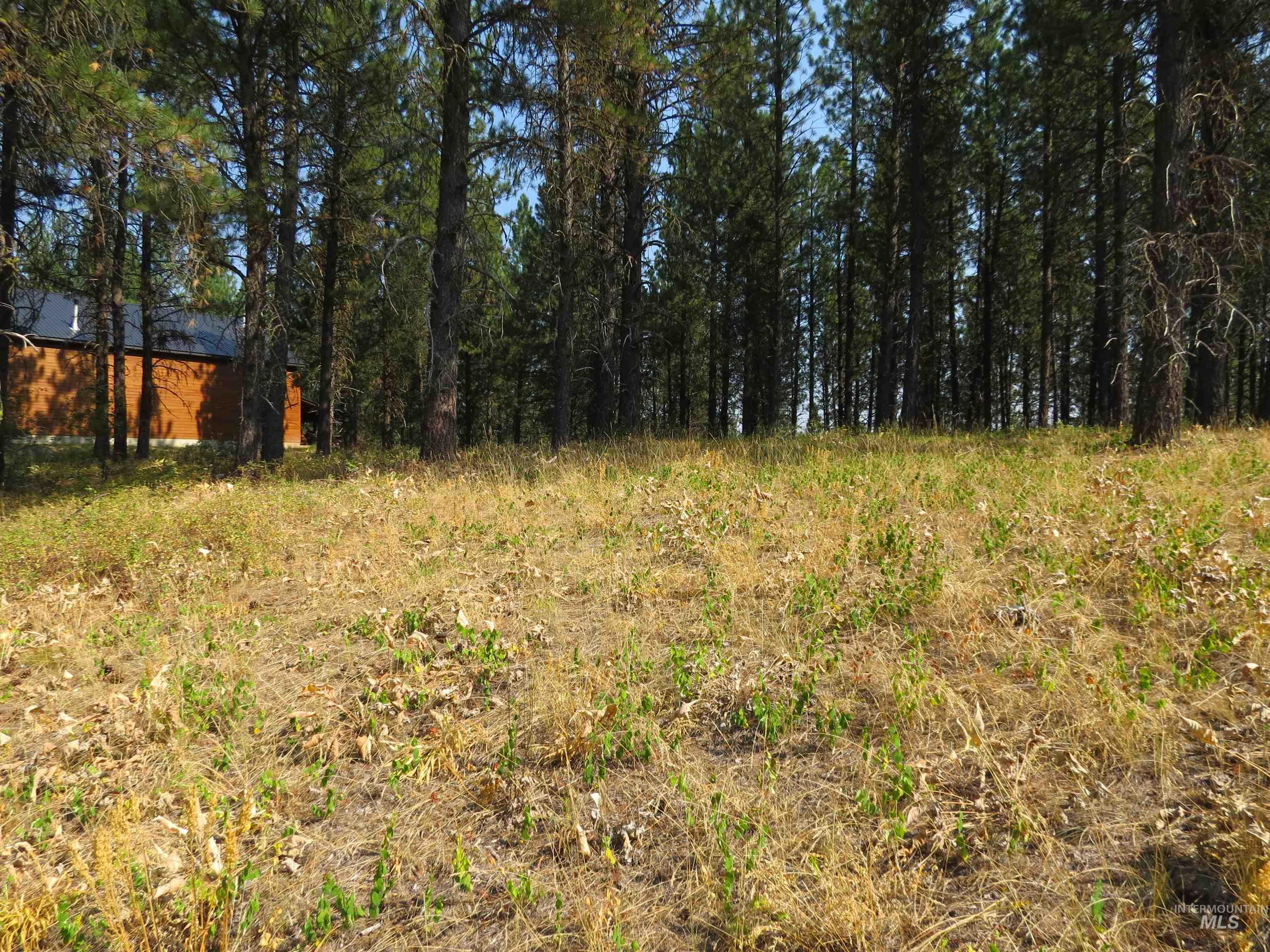 Lot 64 White Pine Dr. Property Photo 16