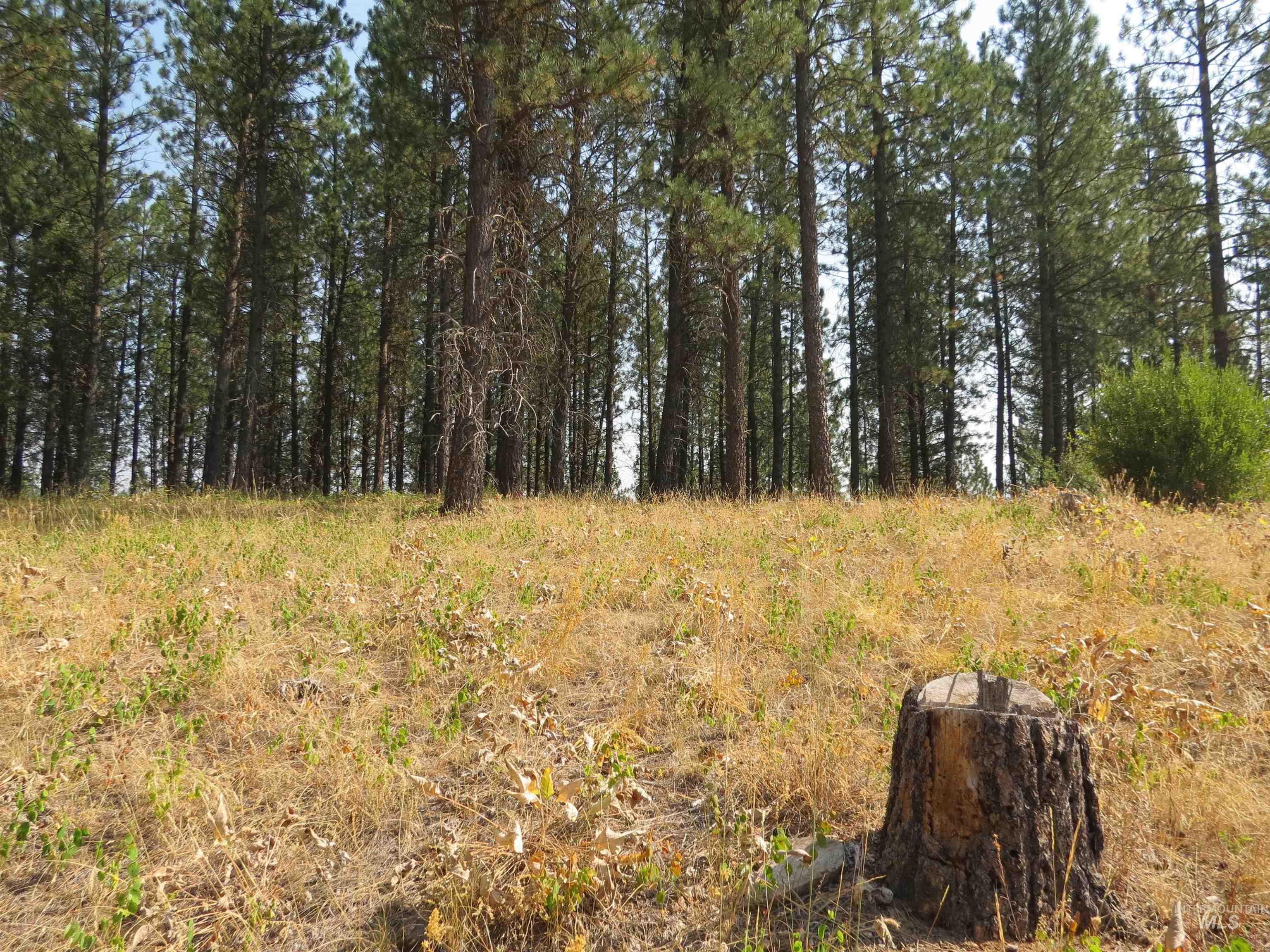 Lot 64 White Pine Dr. Property Photo 17