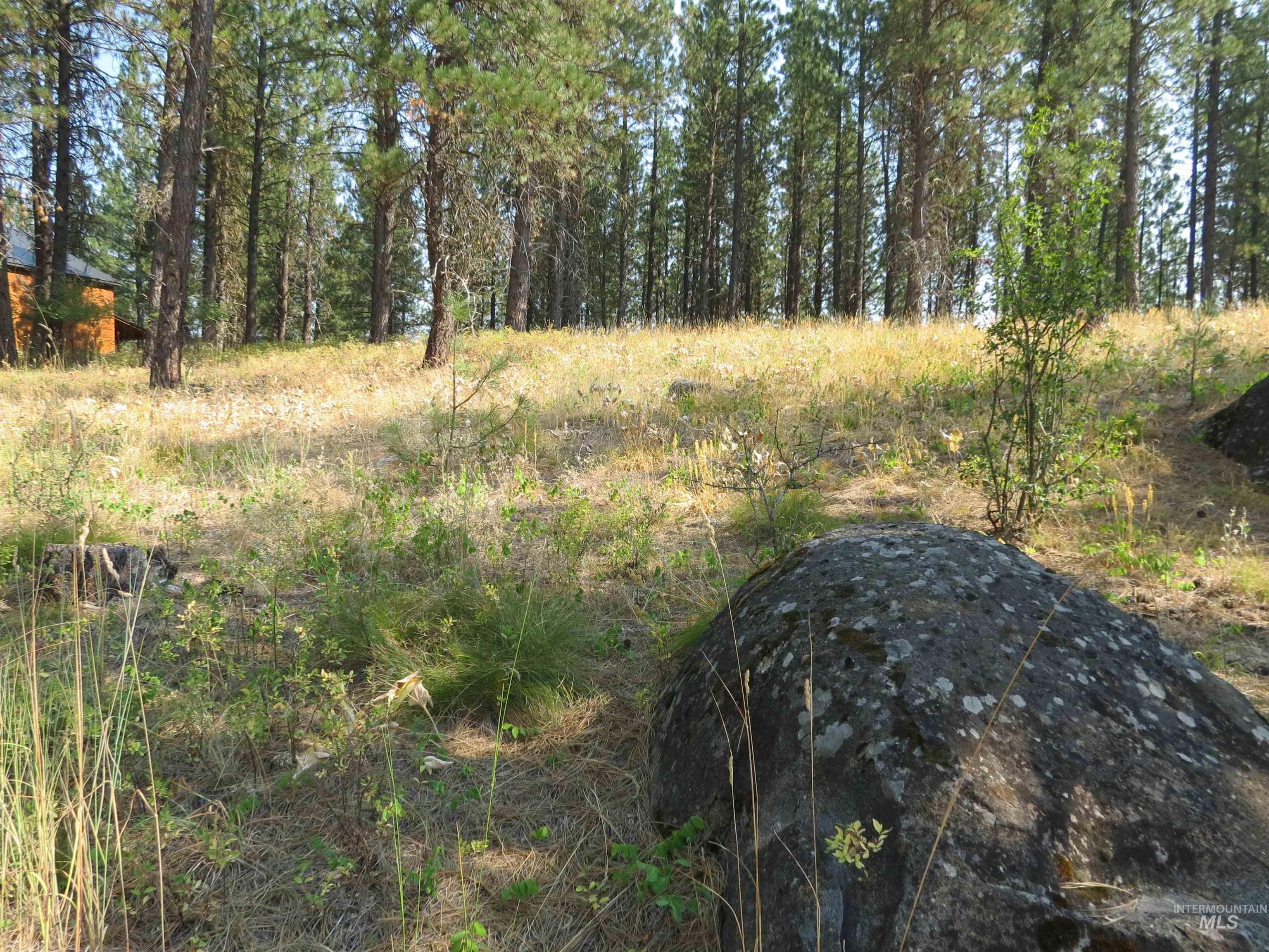 Lot 64 White Pine Dr. Property Photo 18