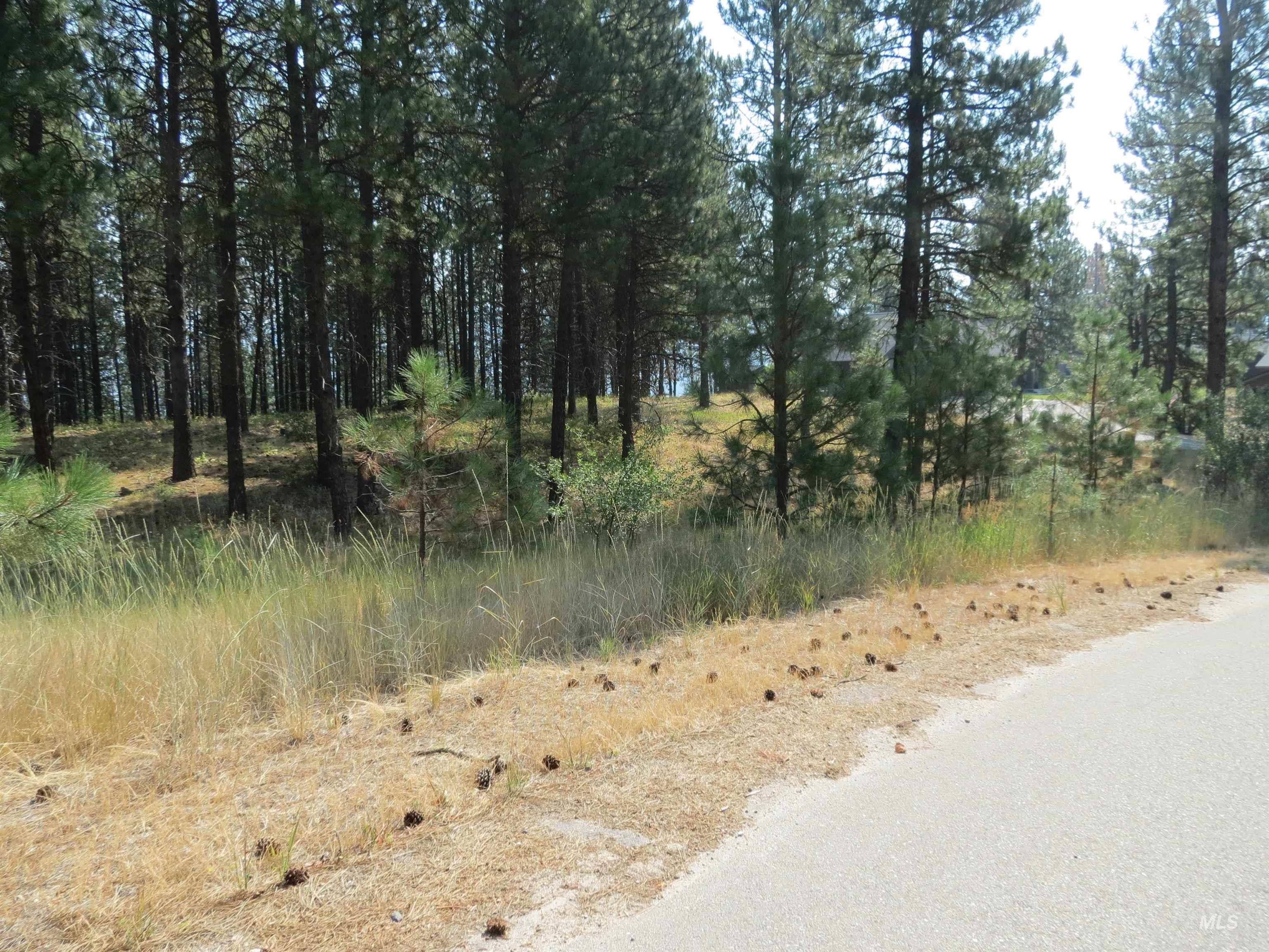 Lot 64 White Pine Dr. Property Photo 22