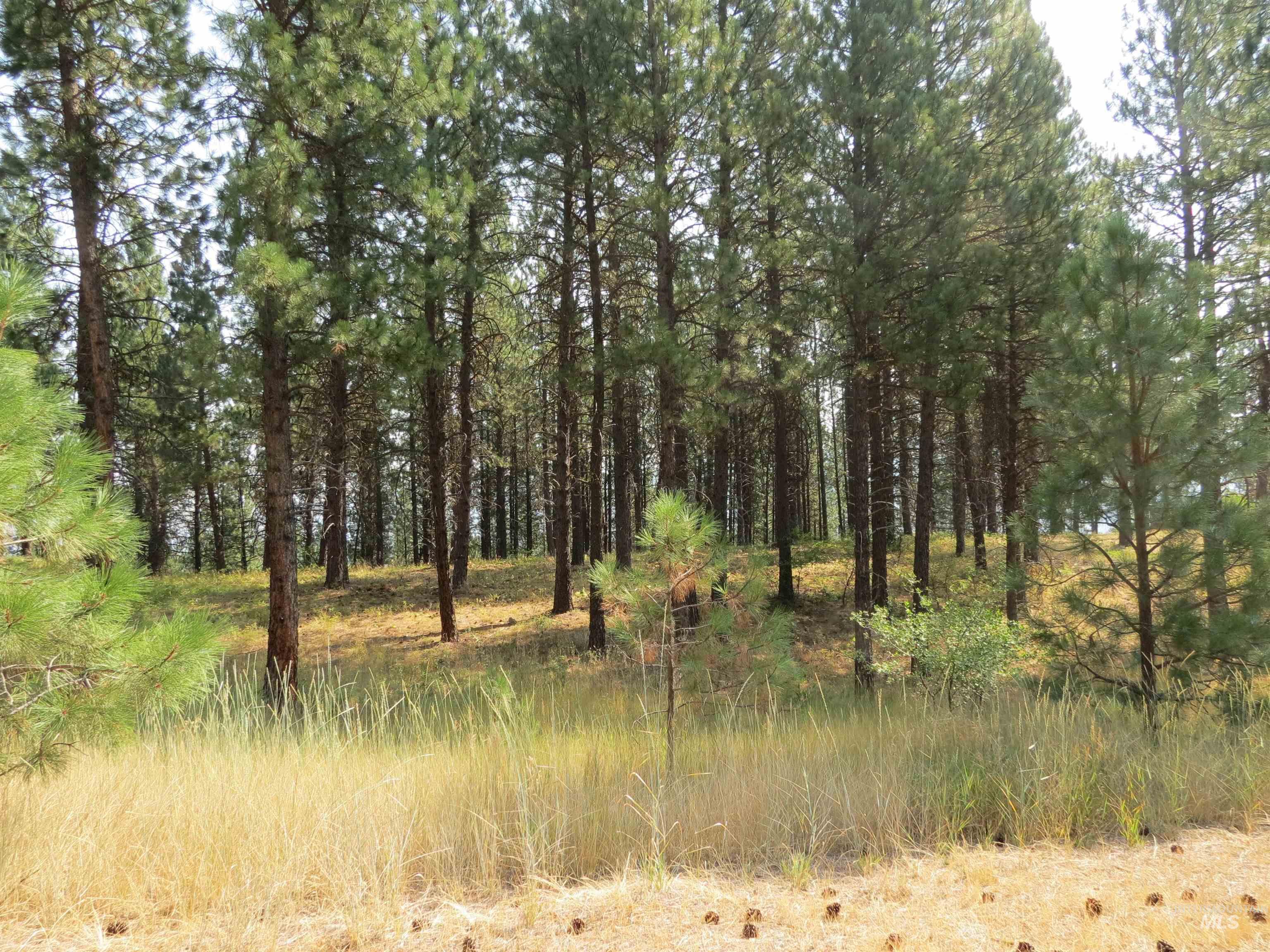 Lot 64 White Pine Dr. Property Photo 23