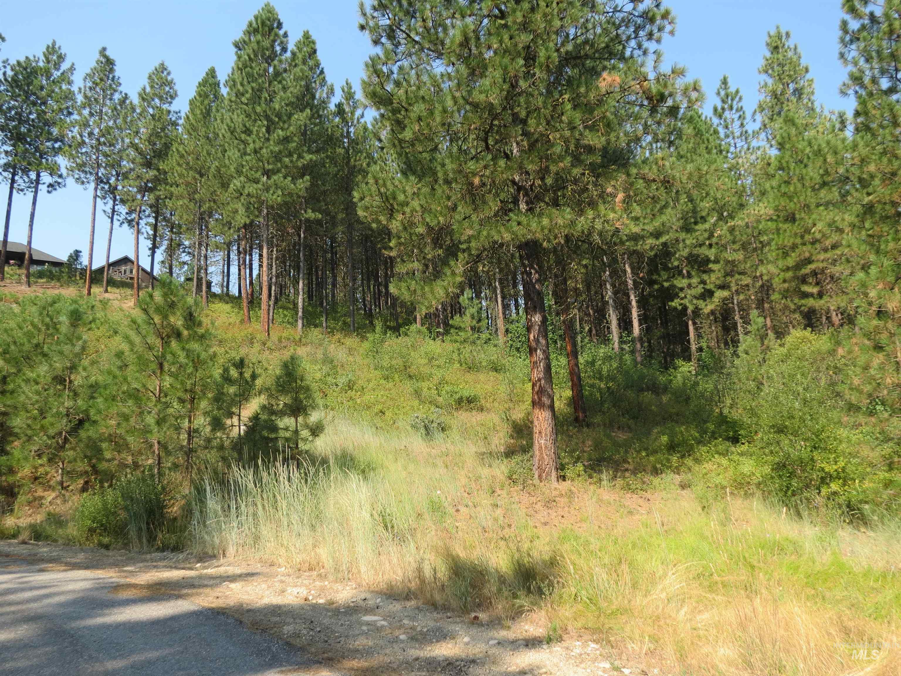 Lot 64 White Pine Dr. Property Photo 24