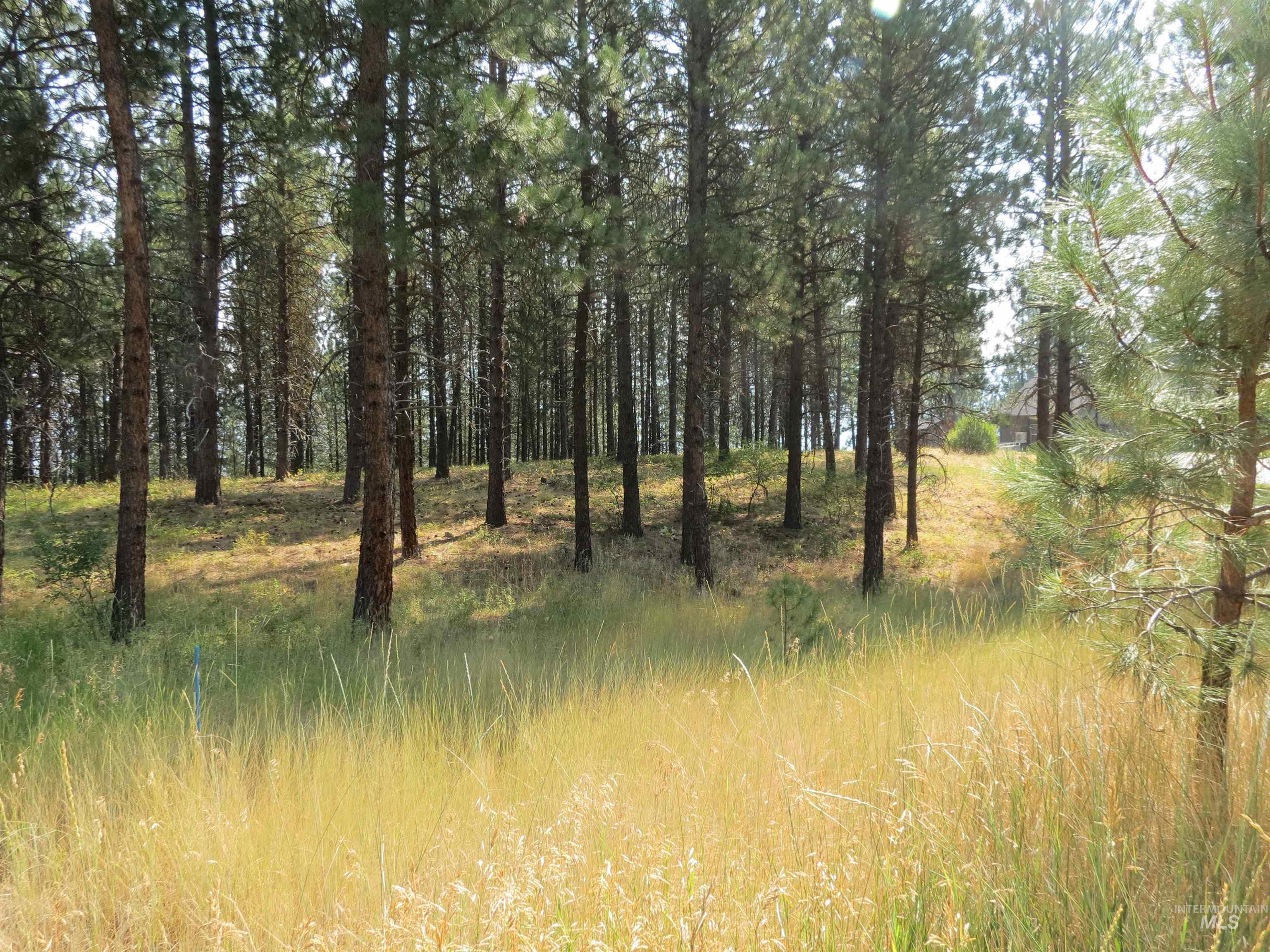 Lot 64 White Pine Dr. Property Photo 26