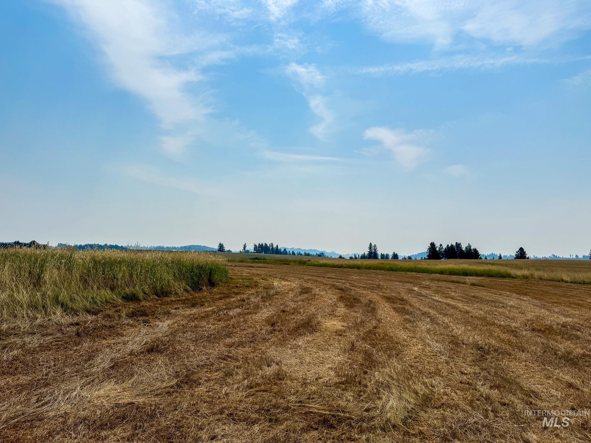 Tbd Tupper Rd Property Photo 3