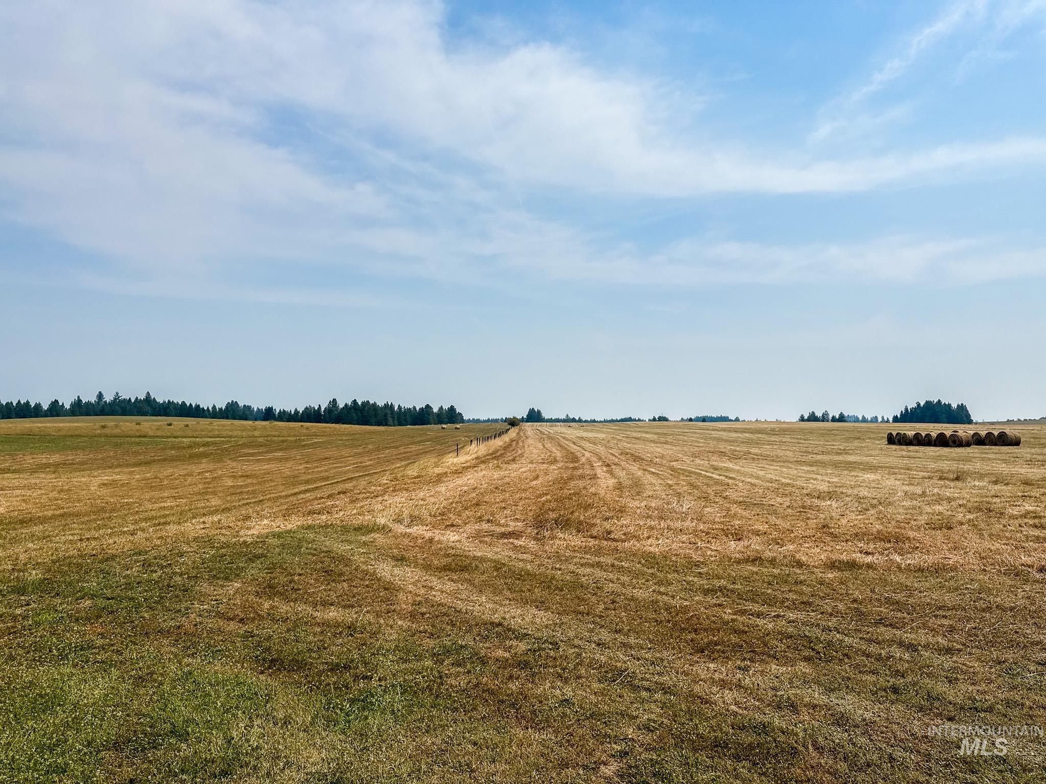 Tbd Three Mile Rd Property Photo 4