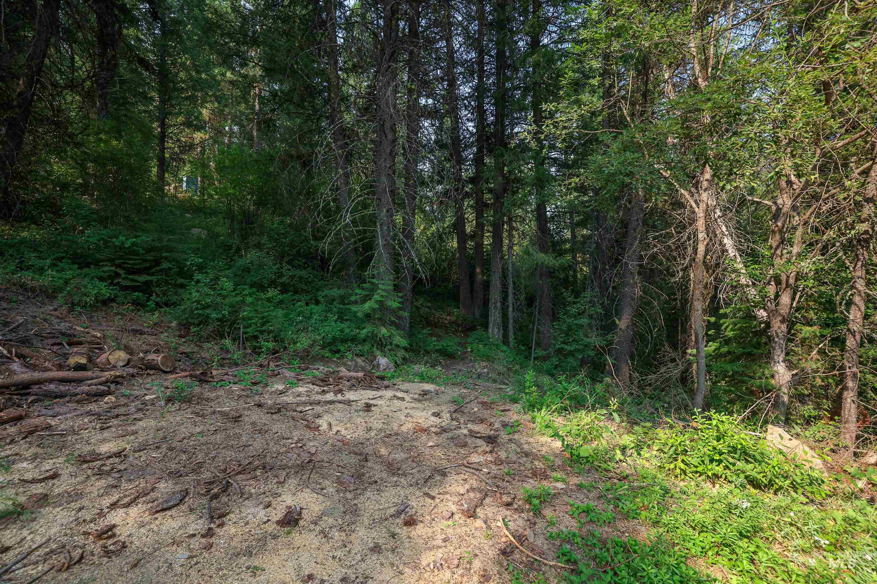 515 Collier View Property Photo 2