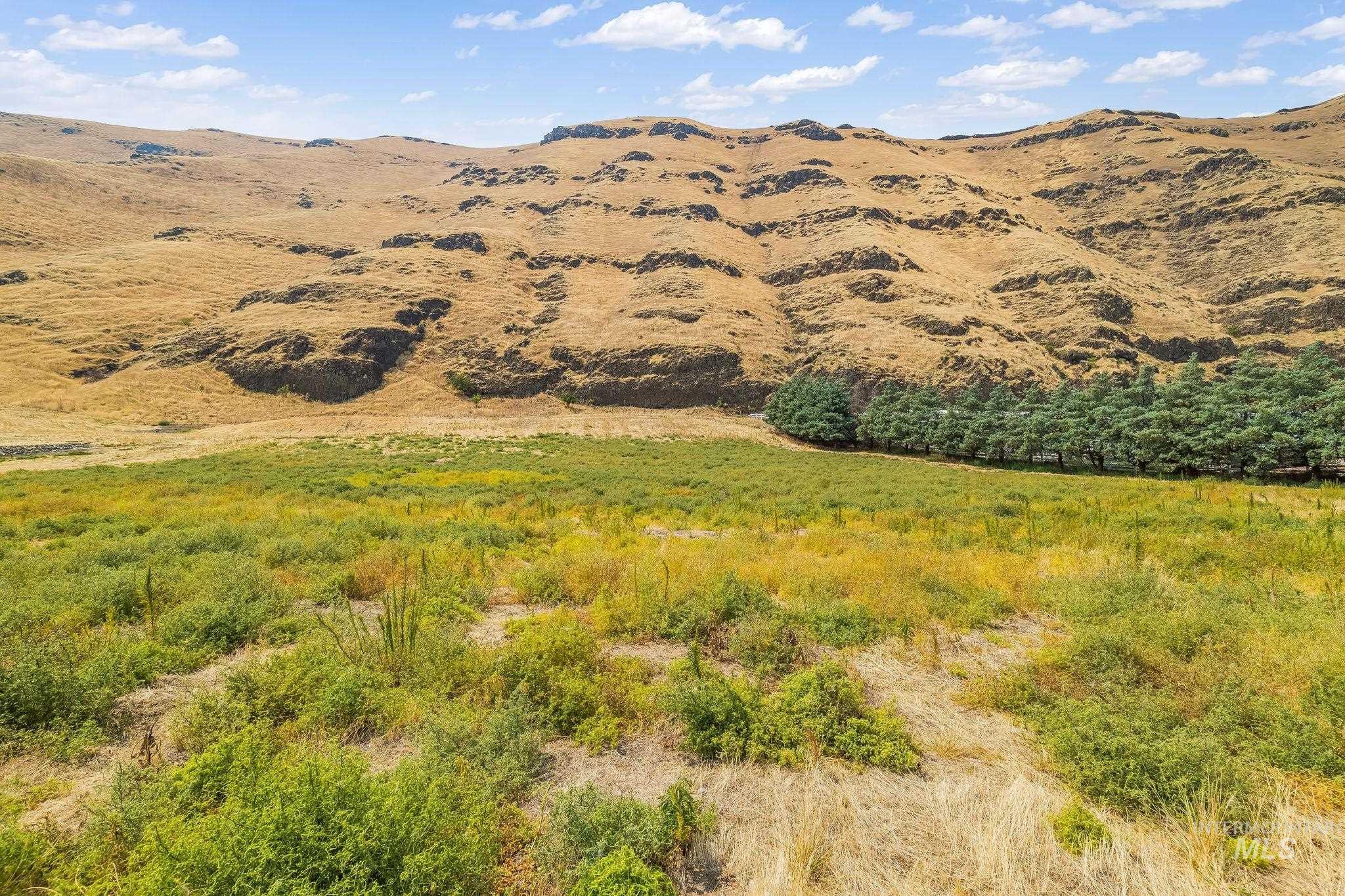 Not Assigned Snake River Road Property Photo 17