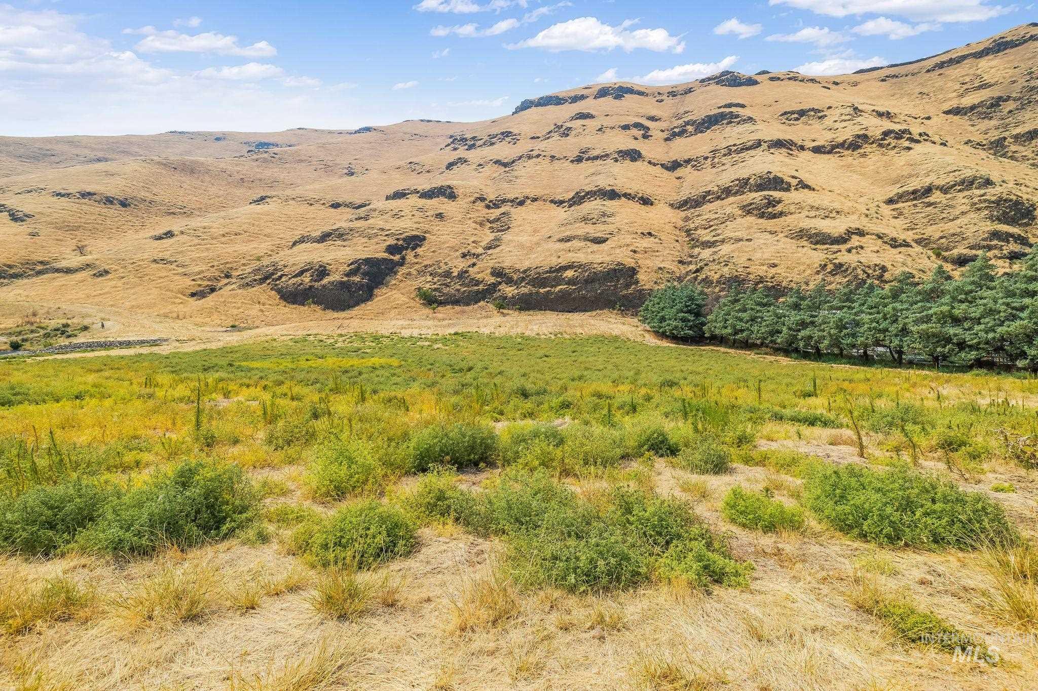 Not Assigned Snake River Road Property Photo 18