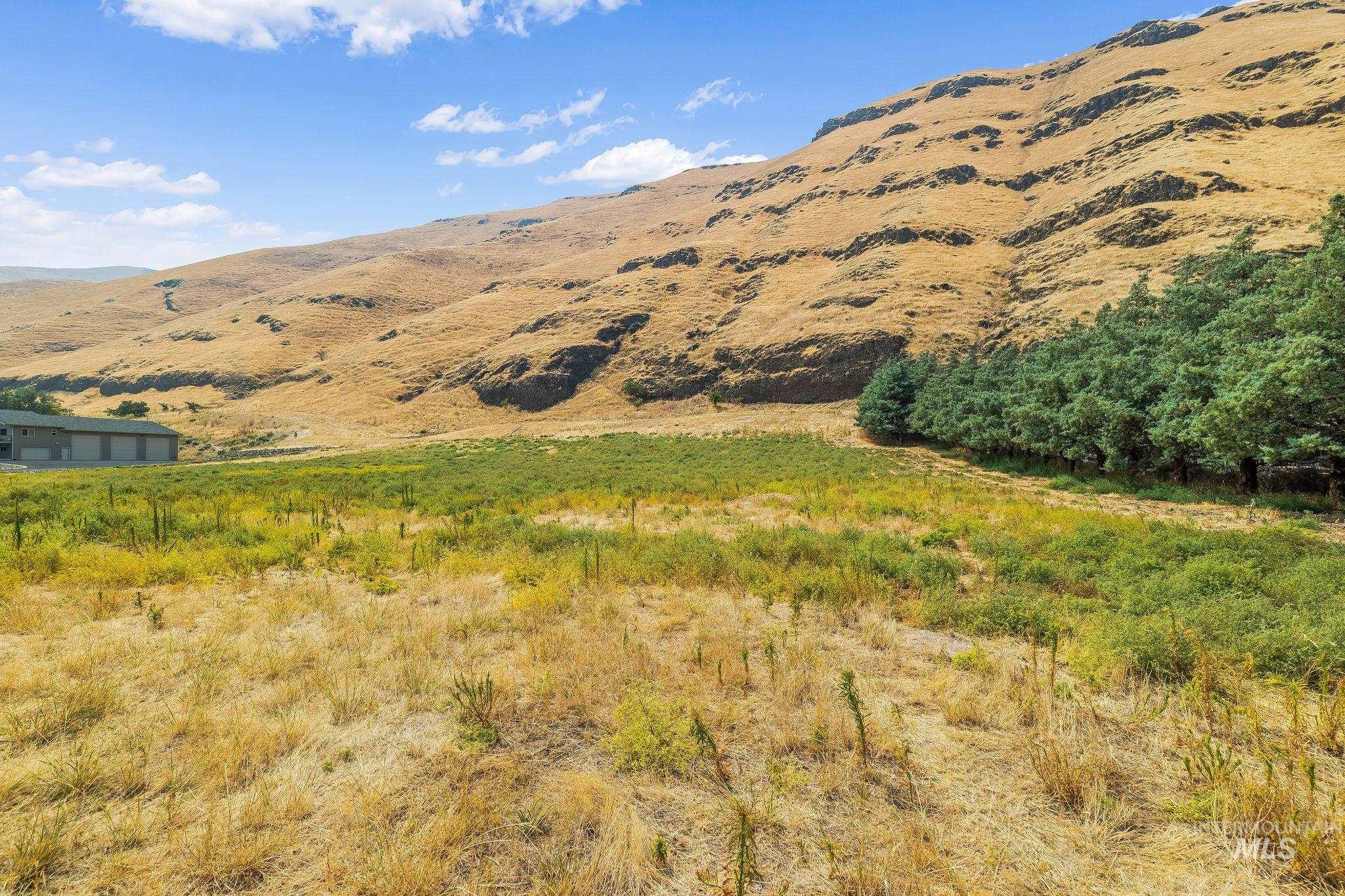 Not Assigned Snake River Road Property Photo 19