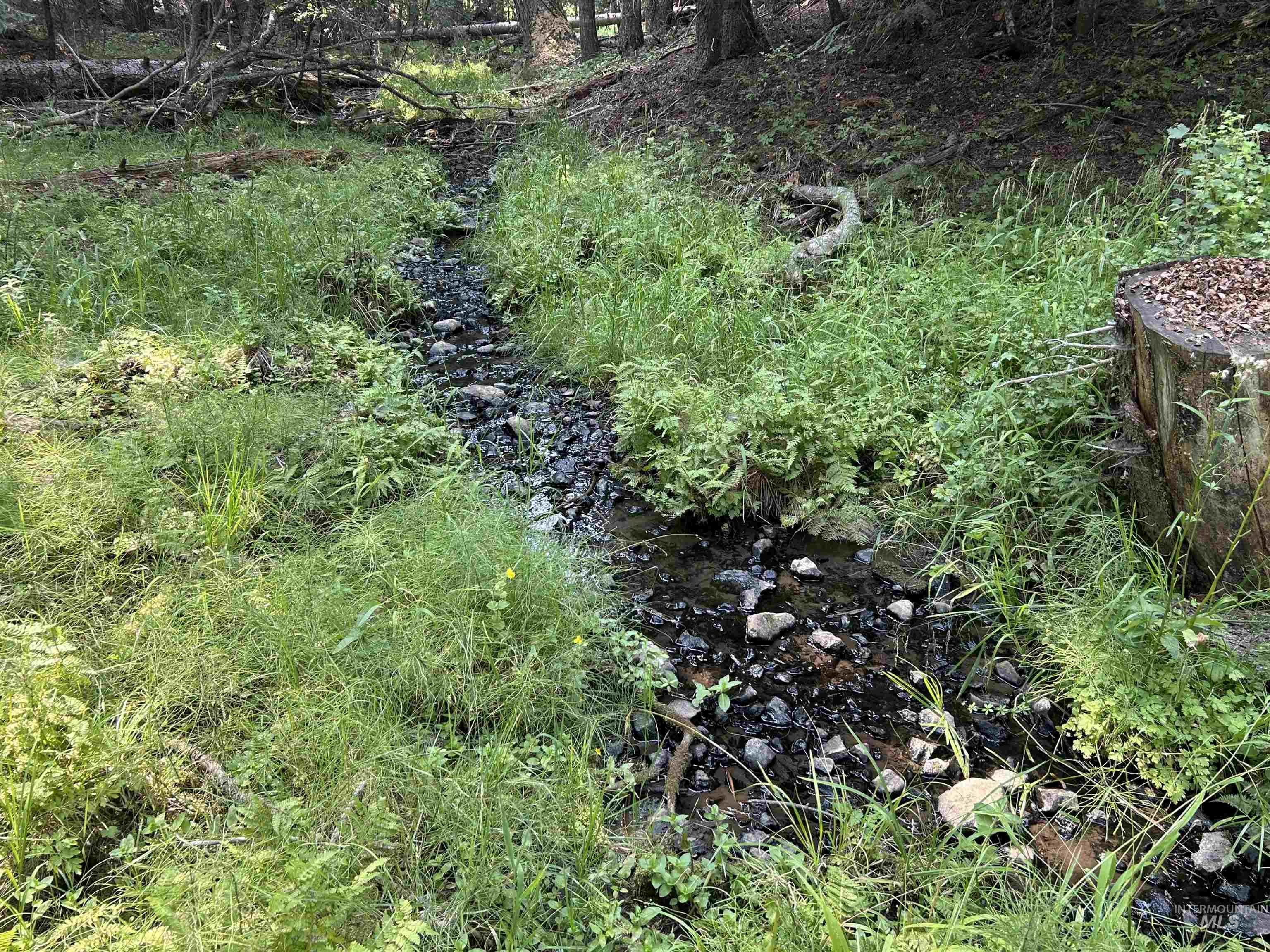 Tbd Farrens Creek Ln Property Photo 1