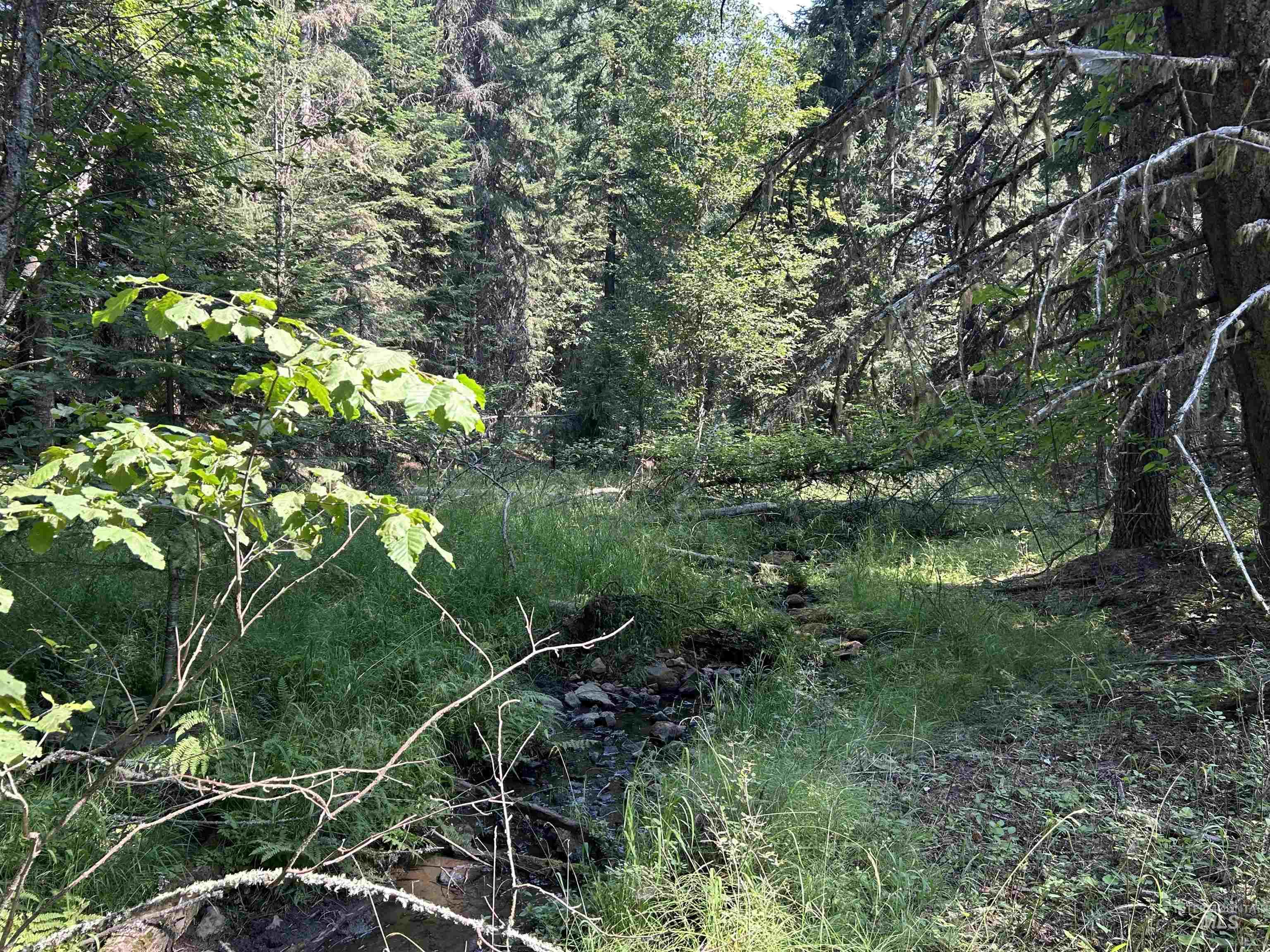 Tbd Farrens Creek Ln Property Photo 2