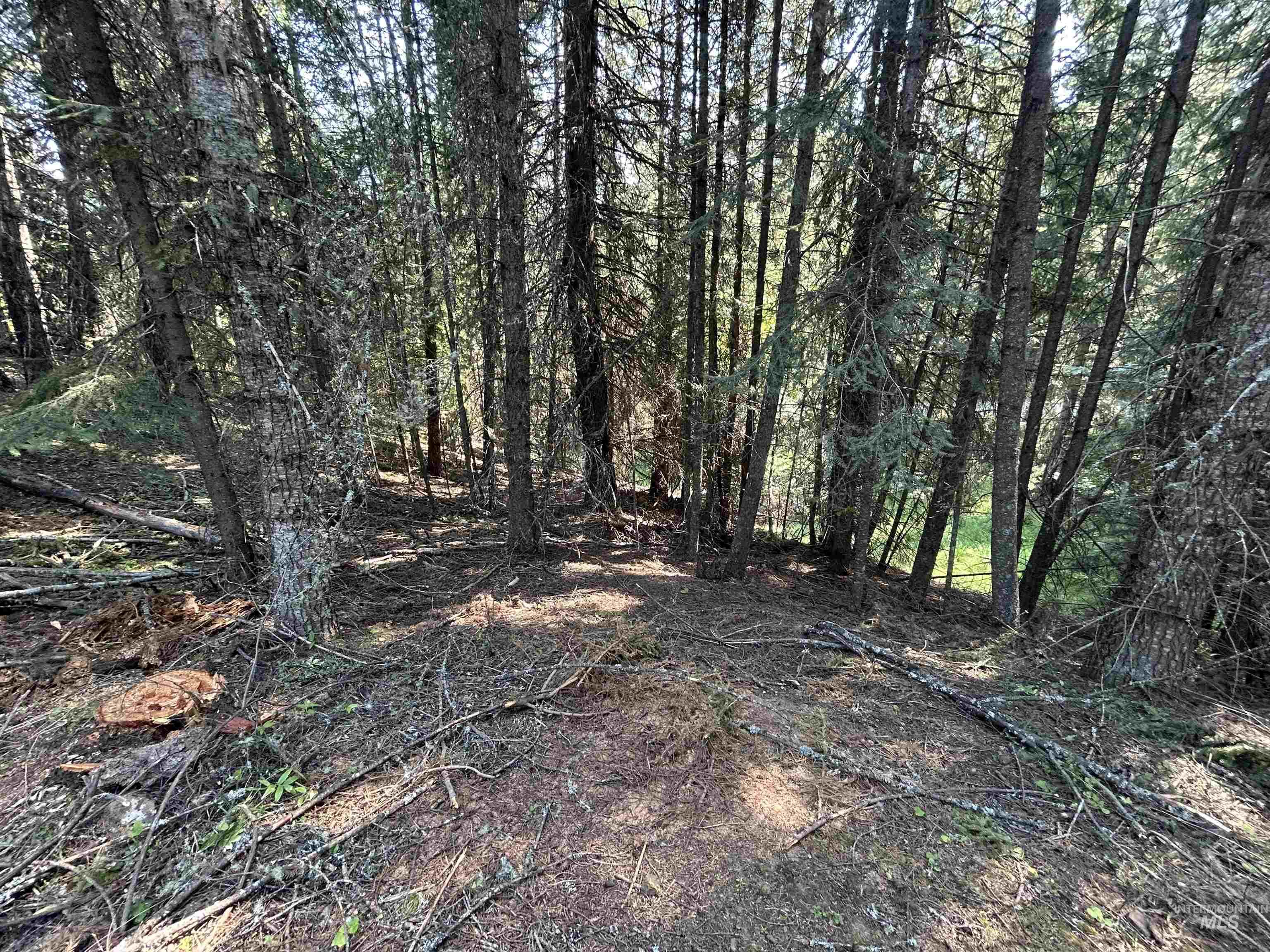 Tbd Farrens Creek Ln Property Photo 3