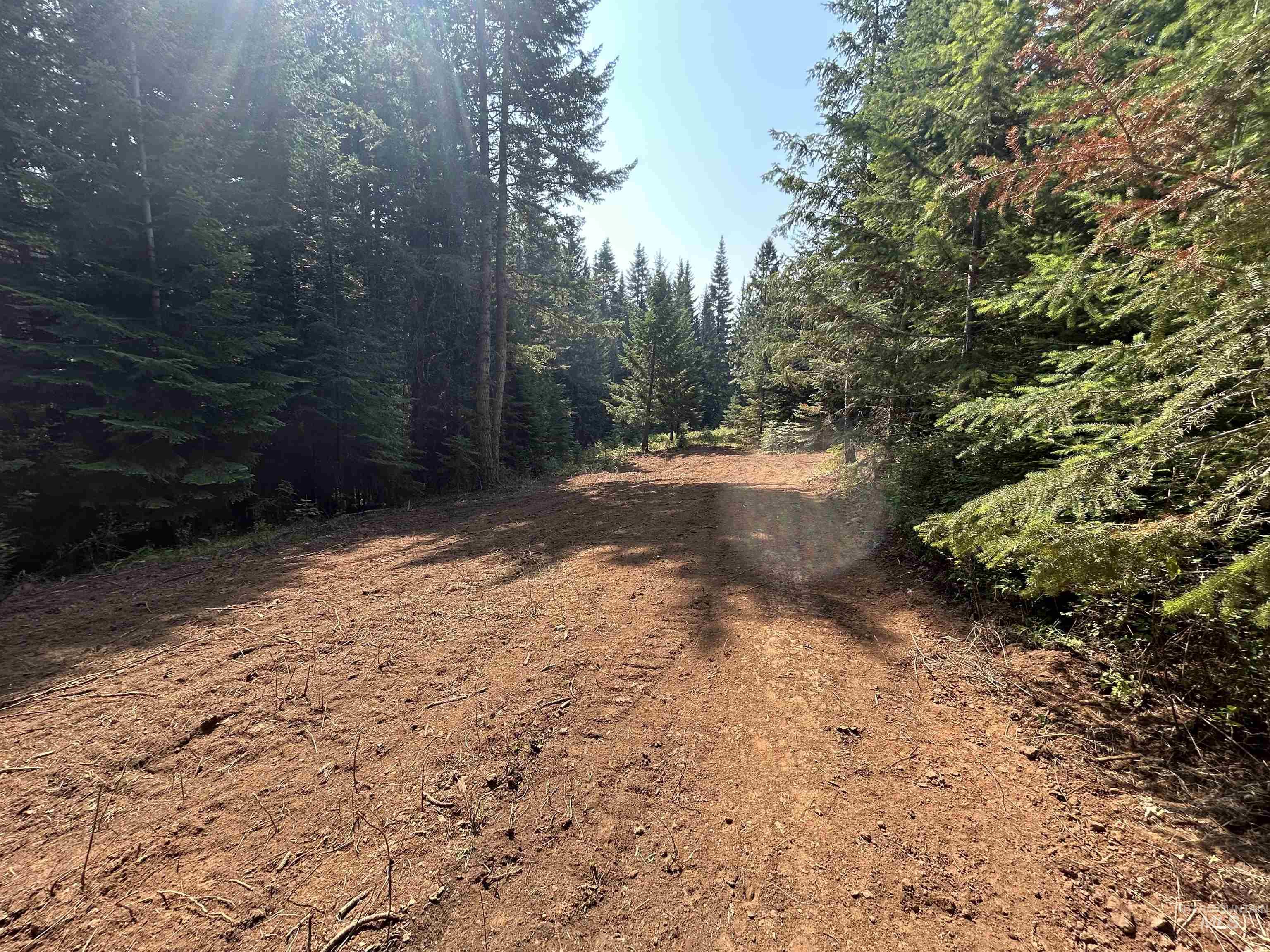 Tbd Farrens Creek Ln Property Photo 4