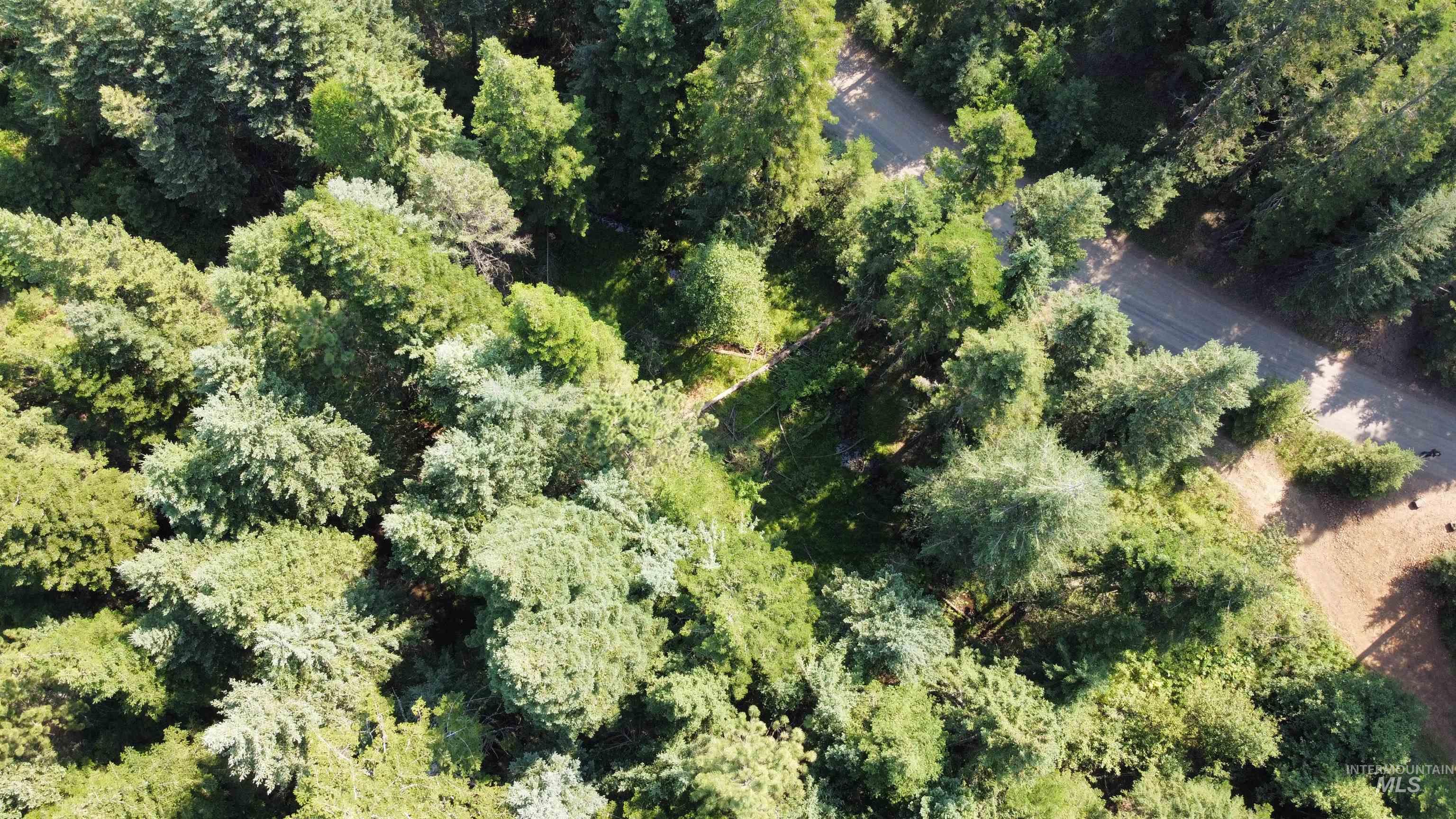 Tbd Farrens Creek Ln Property Photo 5