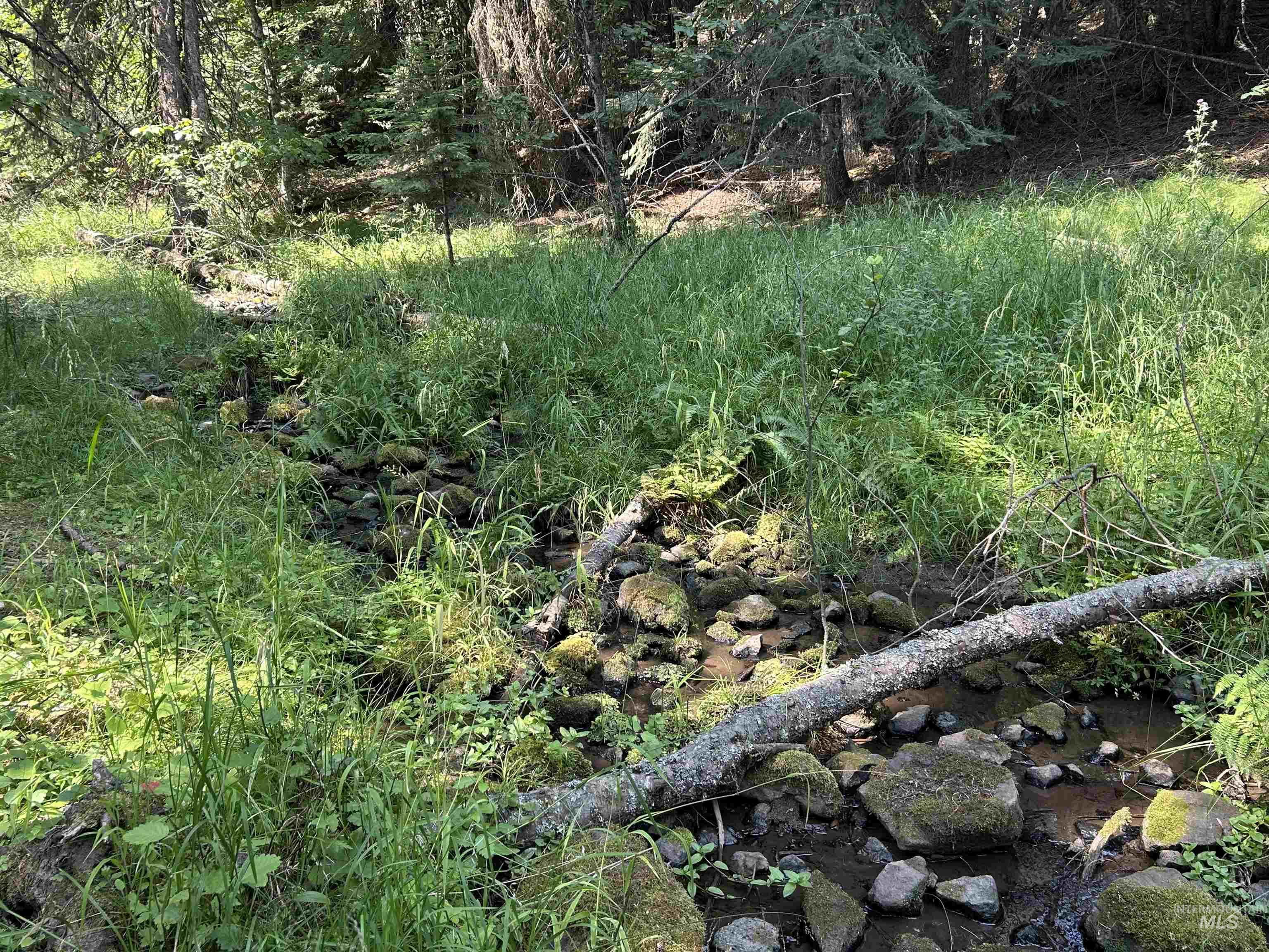 Tbd Farrens Creek Ln Property Photo 7