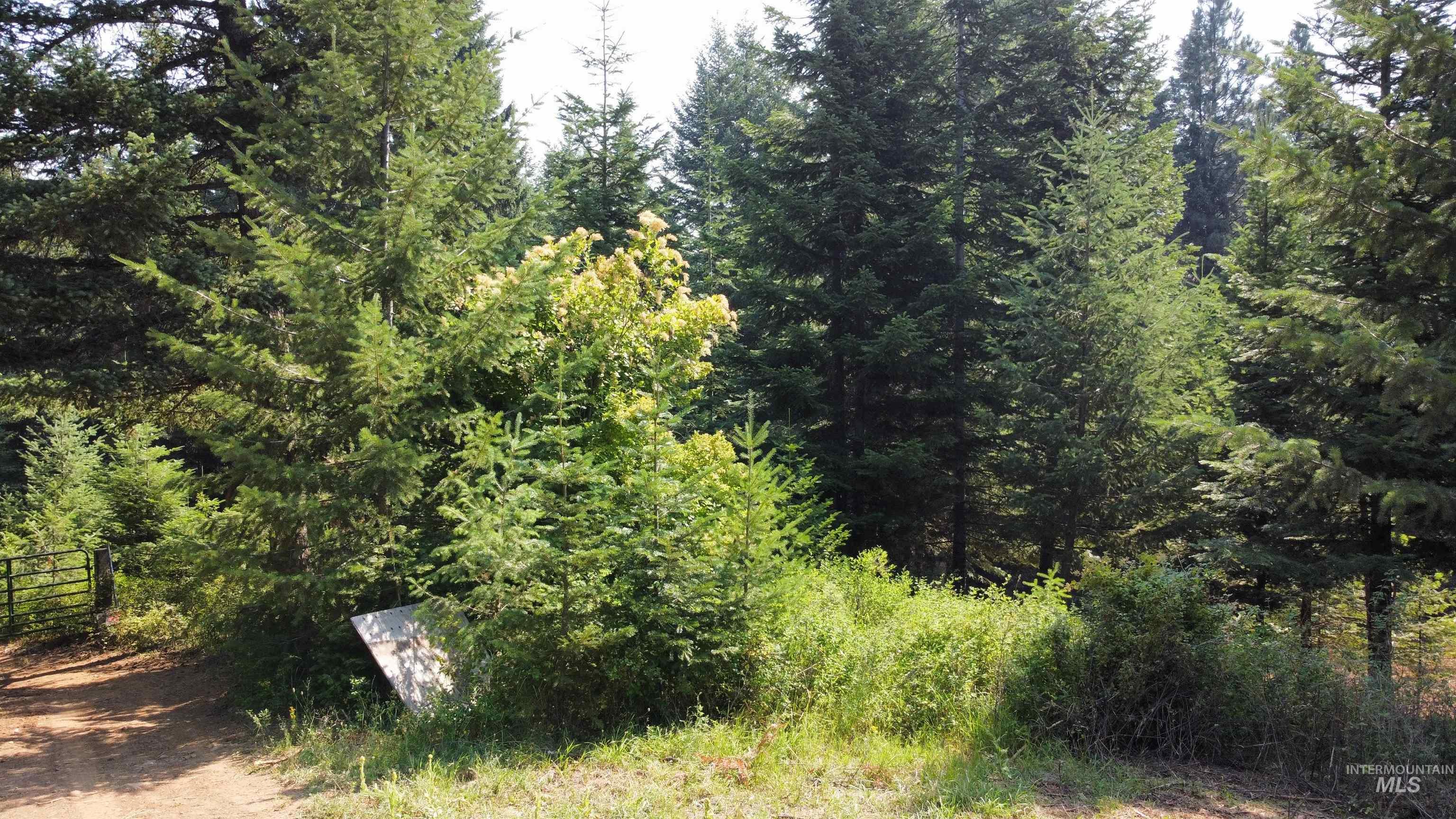 Tbd Farrens Creek Ln Property Photo 9