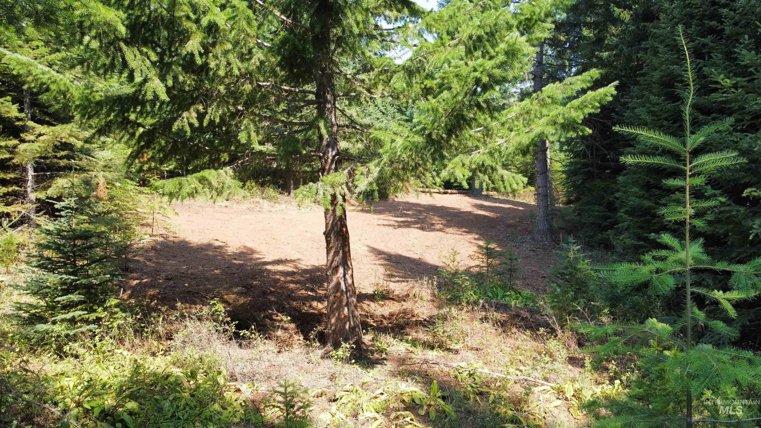 Tbd Farrens Creek Ln Property Photo 11