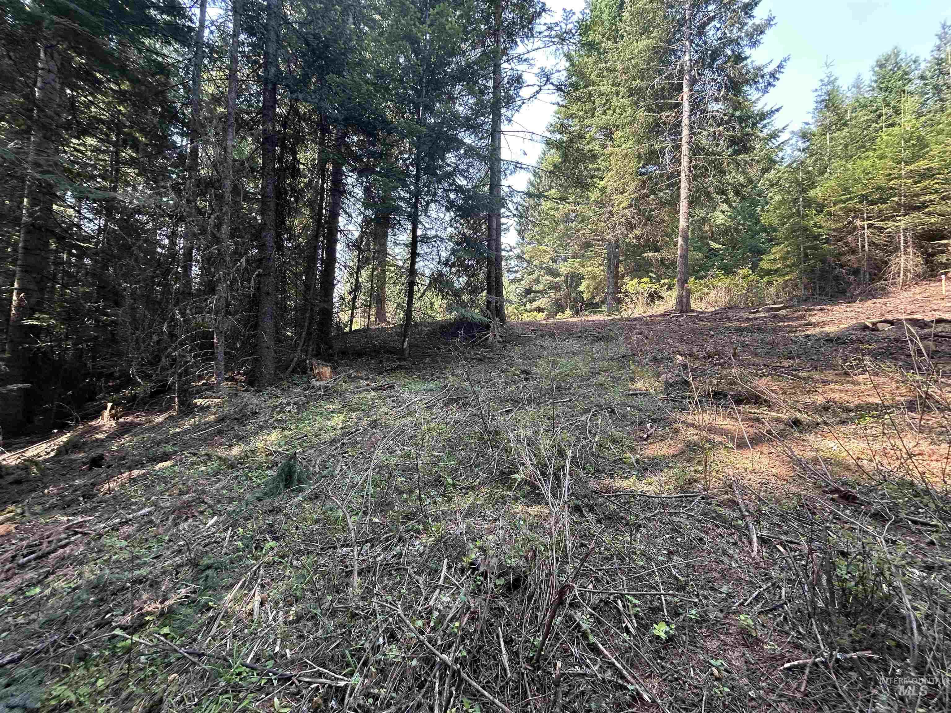 Tbd Farrens Creek Ln Property Photo 13