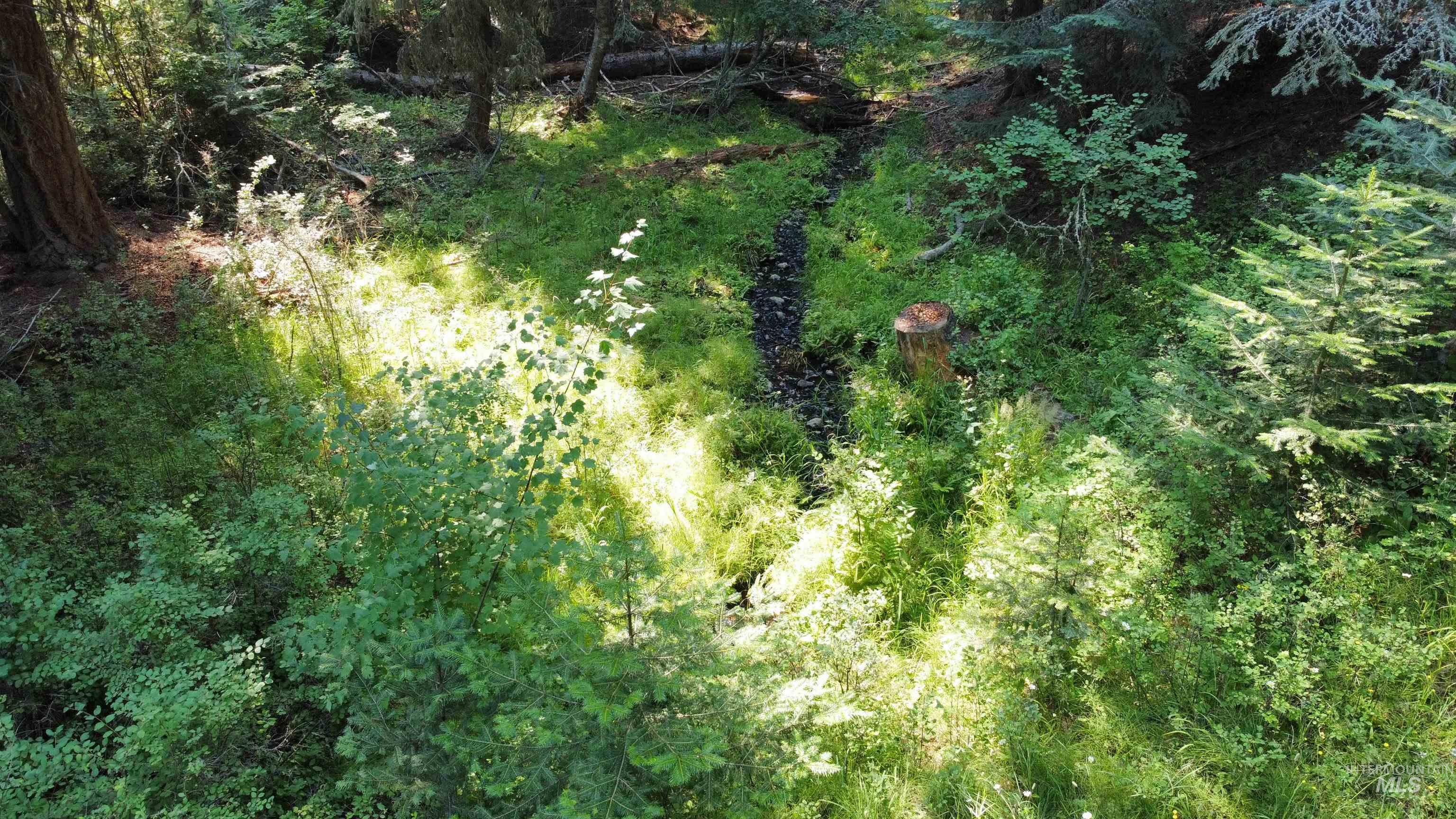 Tbd Farrens Creek Ln Property Photo 15