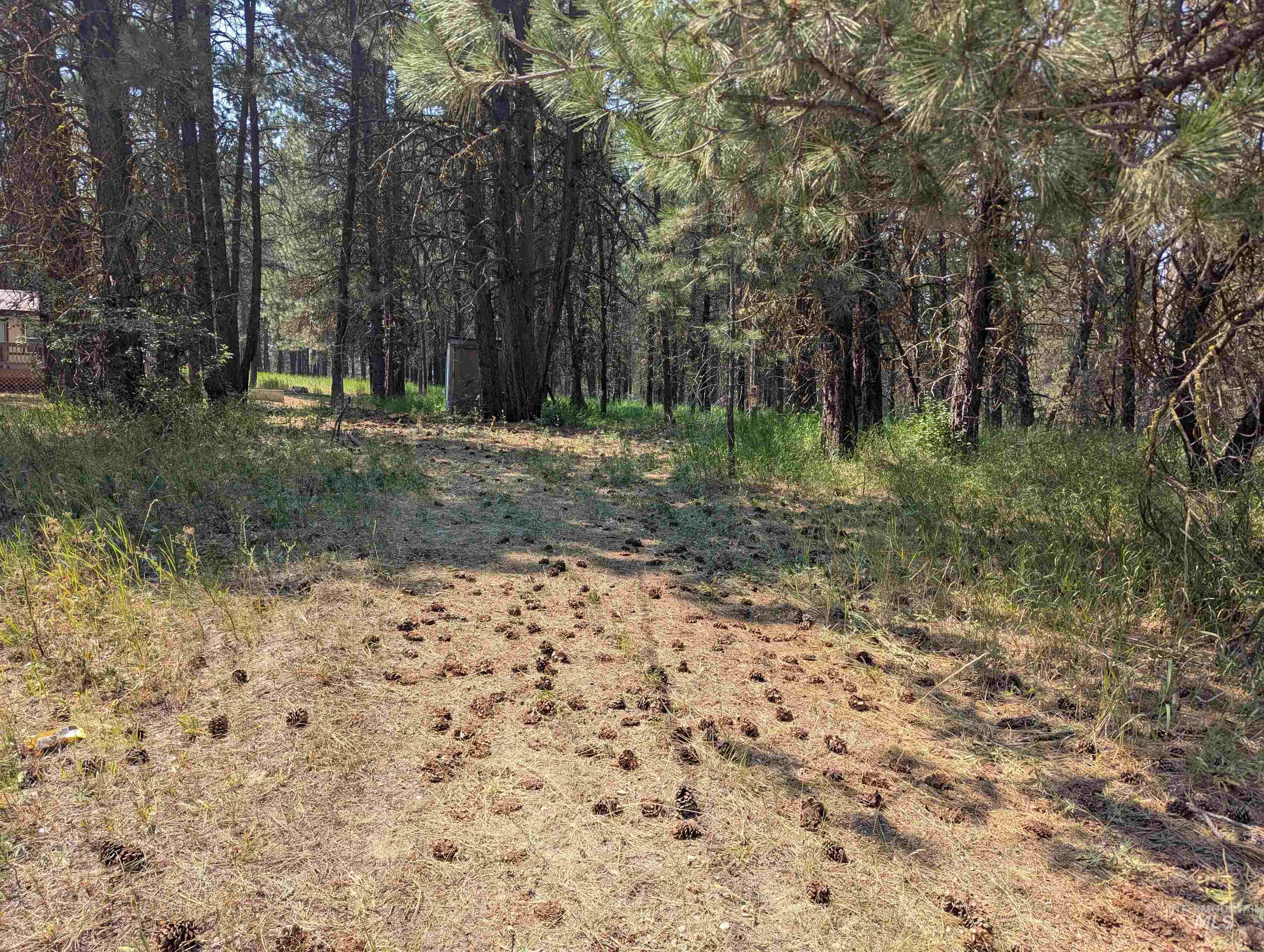 110 E Prospectors Drive Property Photo 2
