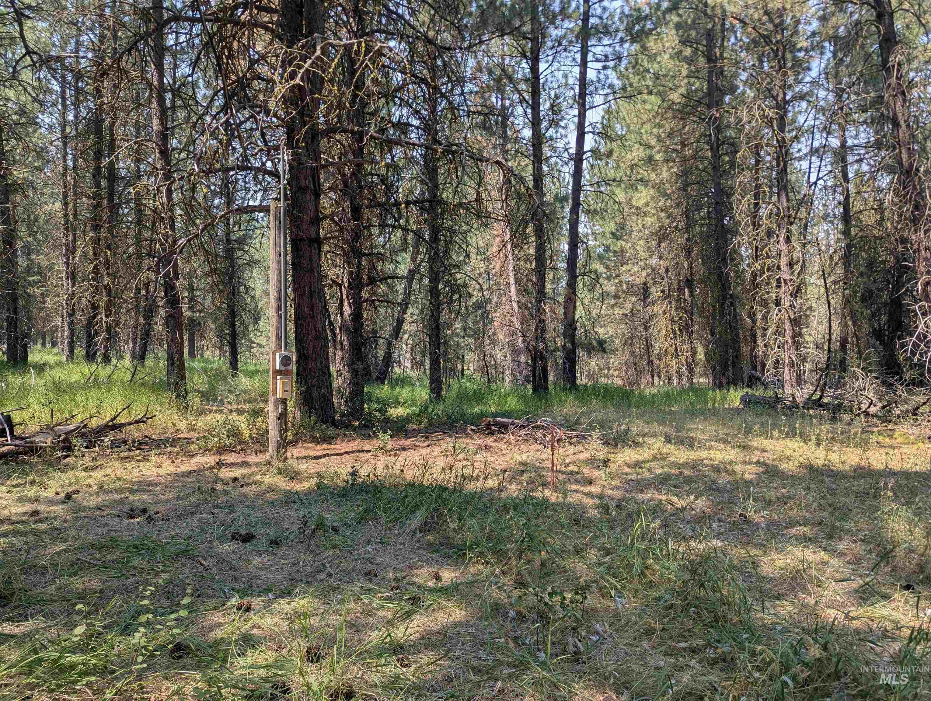 110 E Prospectors Drive Property Photo 3