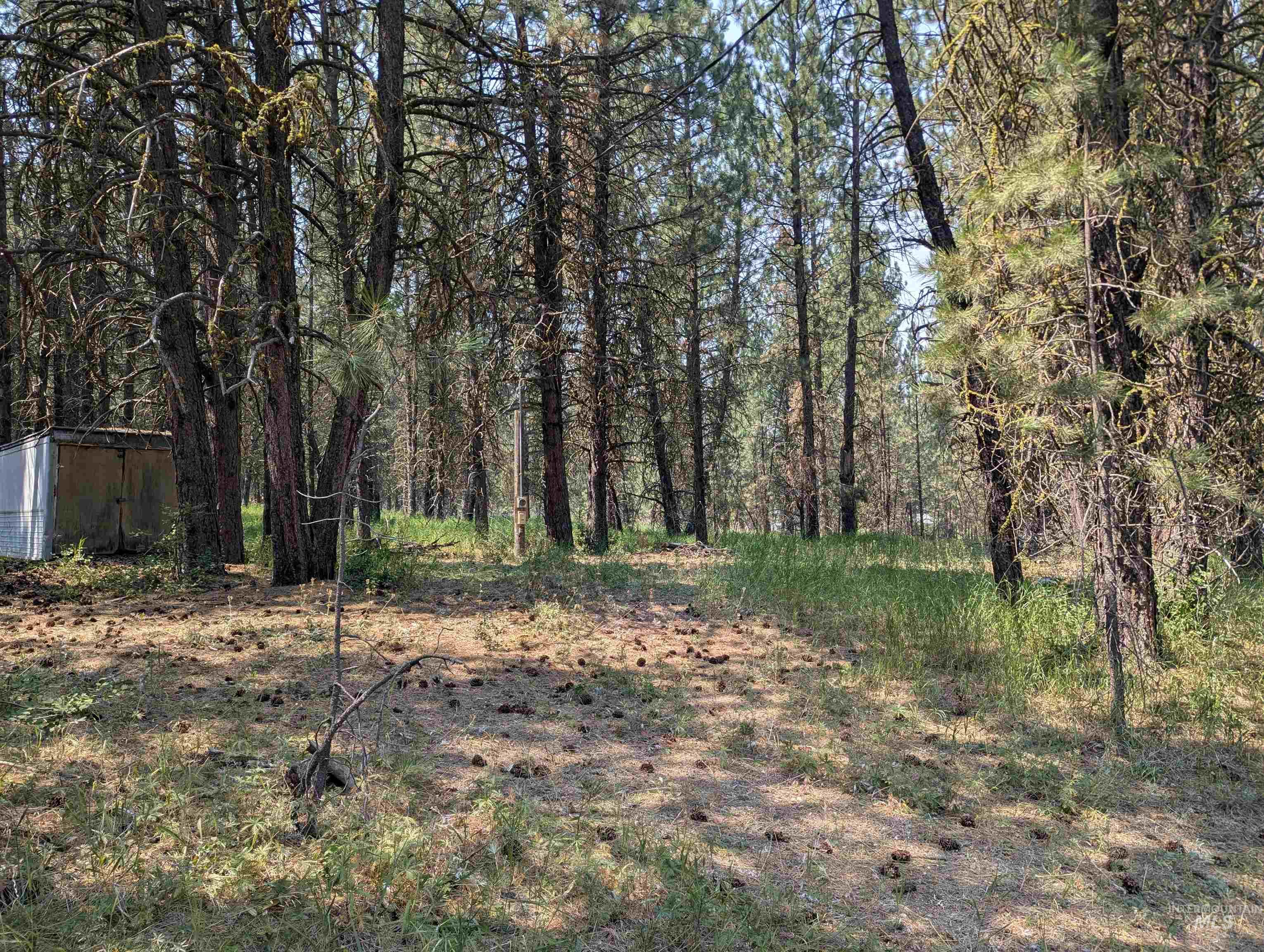 110 E Prospectors Drive Property Photo 4