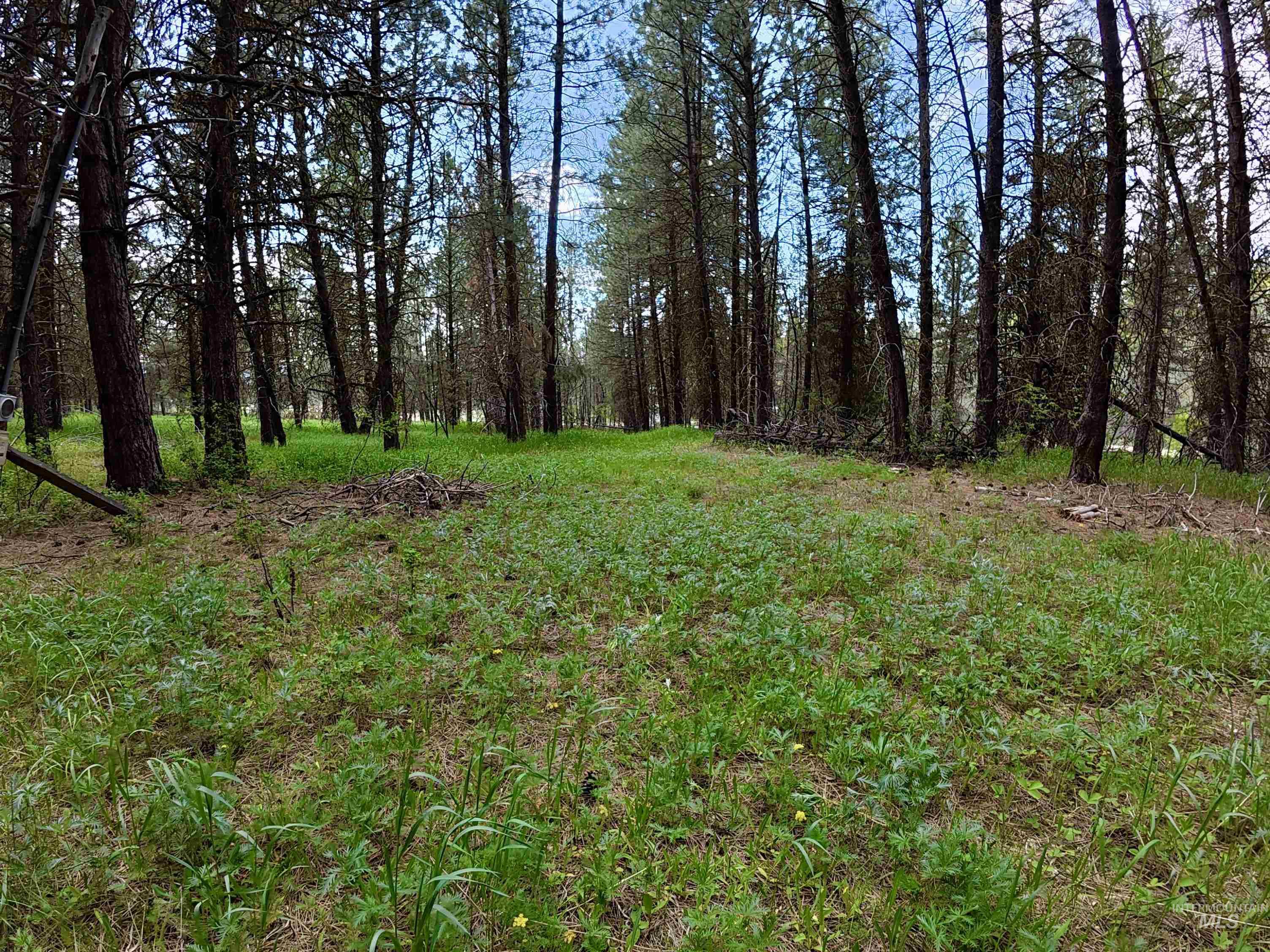 110 E Prospectors Drive Property Photo 5