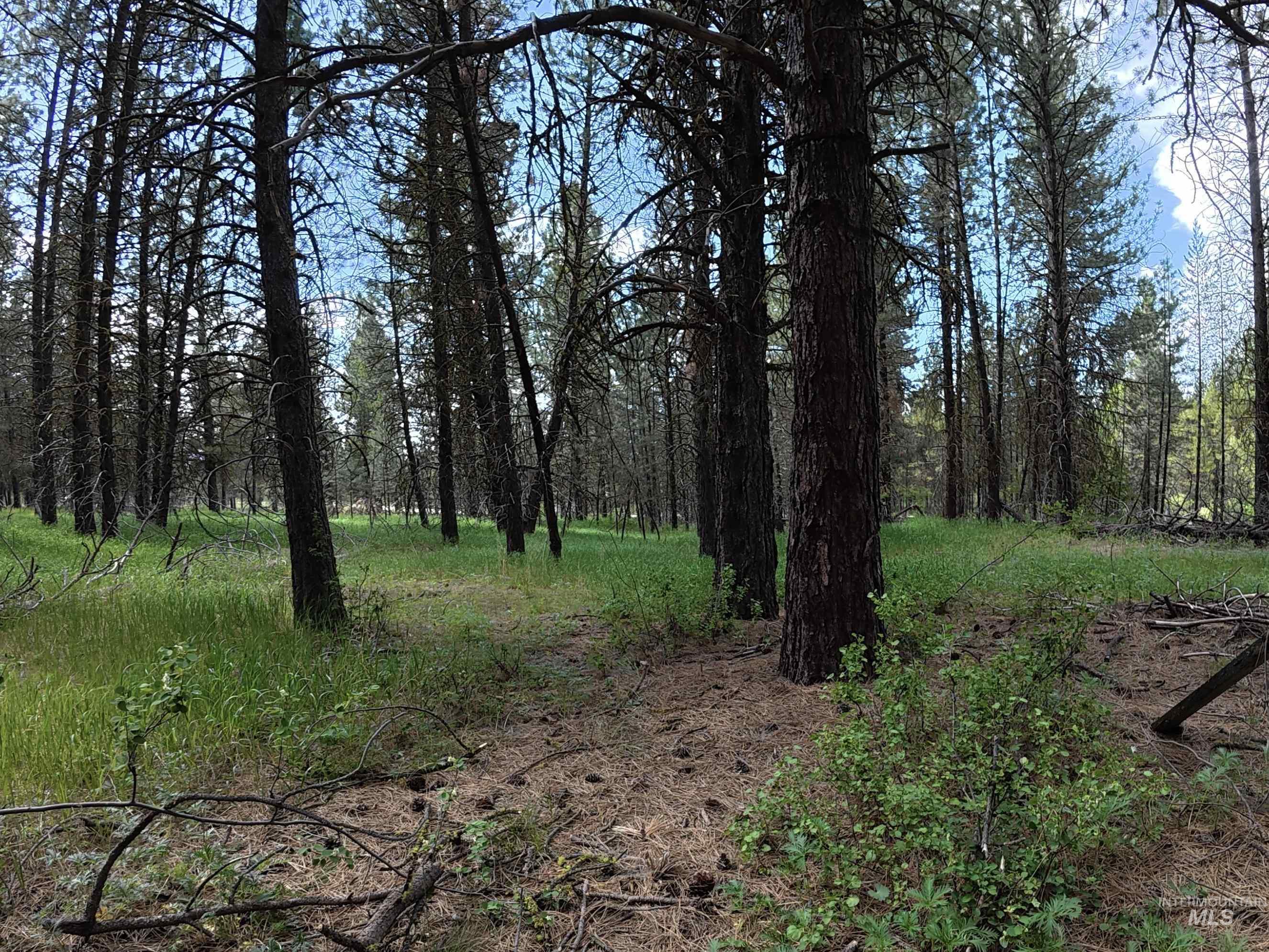 110 E Prospectors Drive Property Photo 6