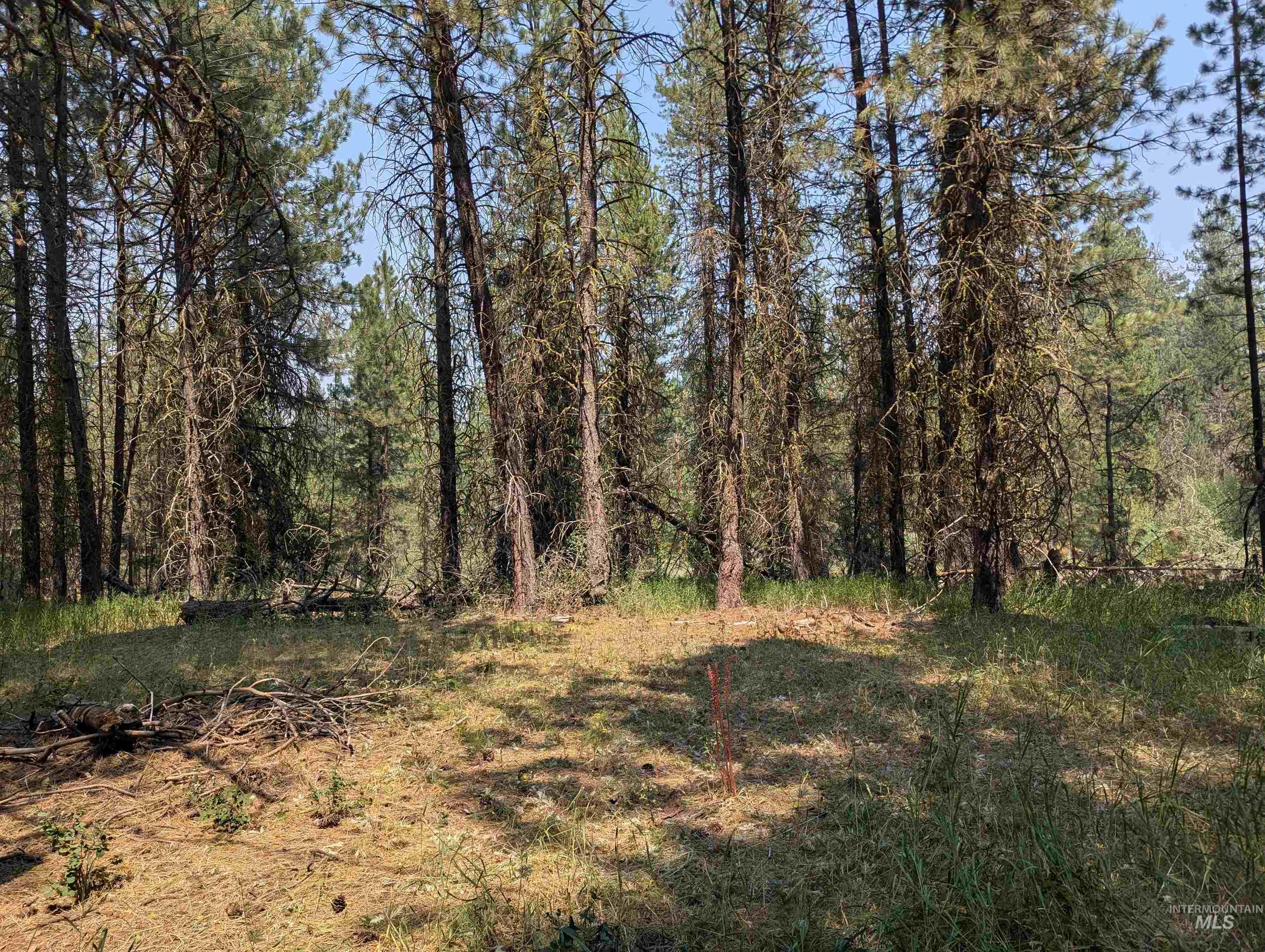 110 E Prospectors Drive Property Photo 8