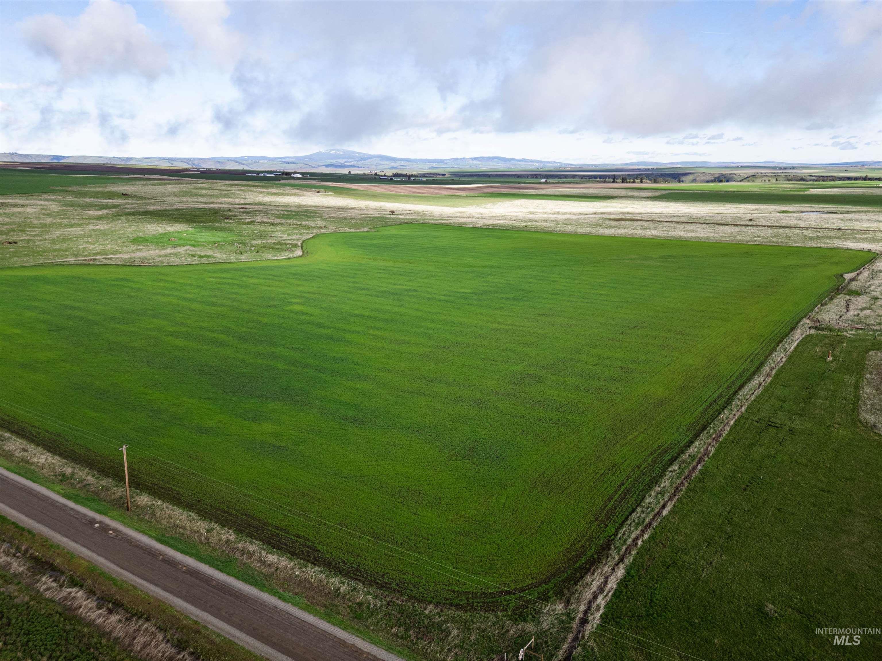 Lot 2 Gill Point Road Property Photo 19