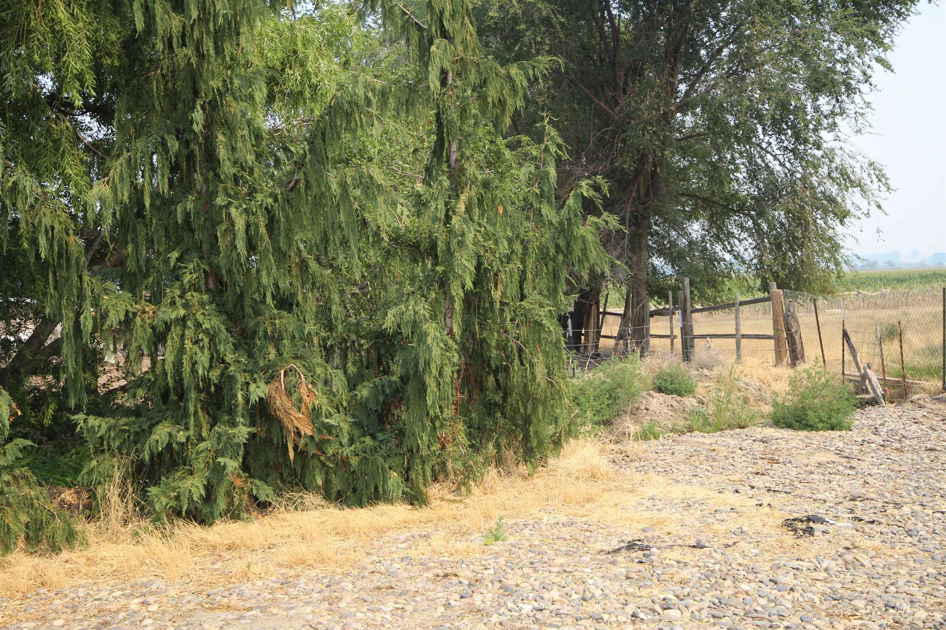 Tbd Jump Creek Rd Property Photo 3
