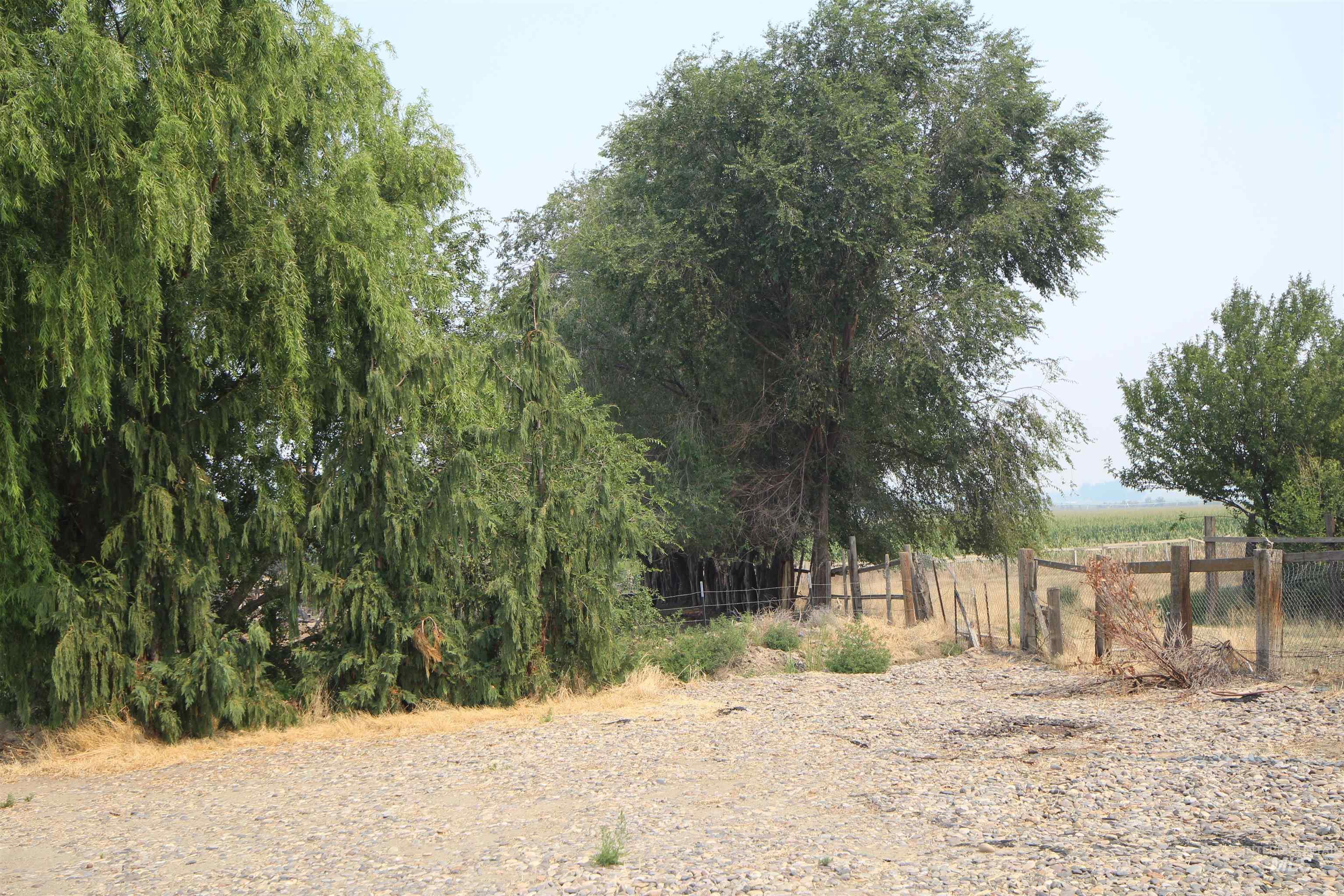 Tbd Jump Creek Rd Property Photo 4