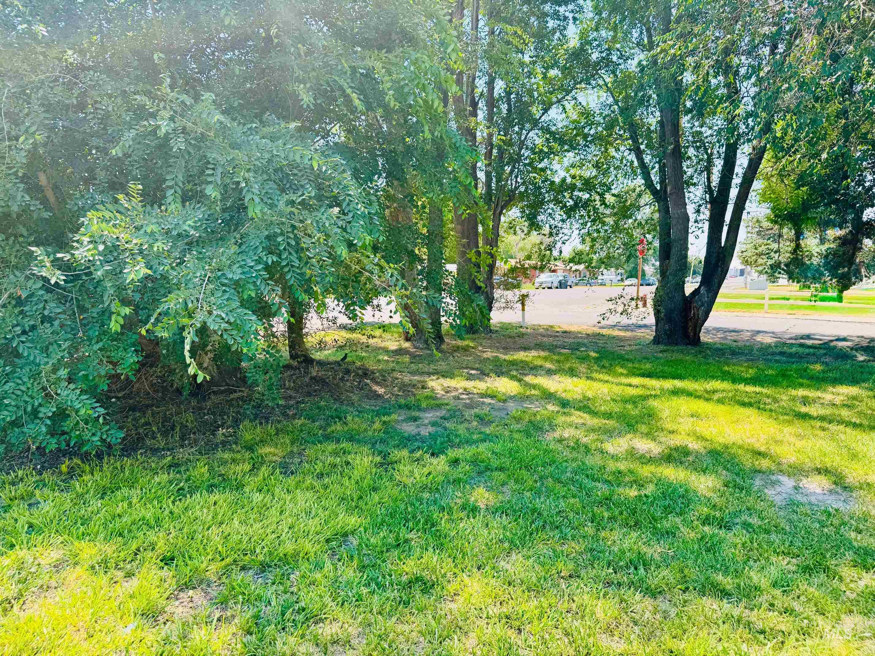 1610 D Street Property Photo 22