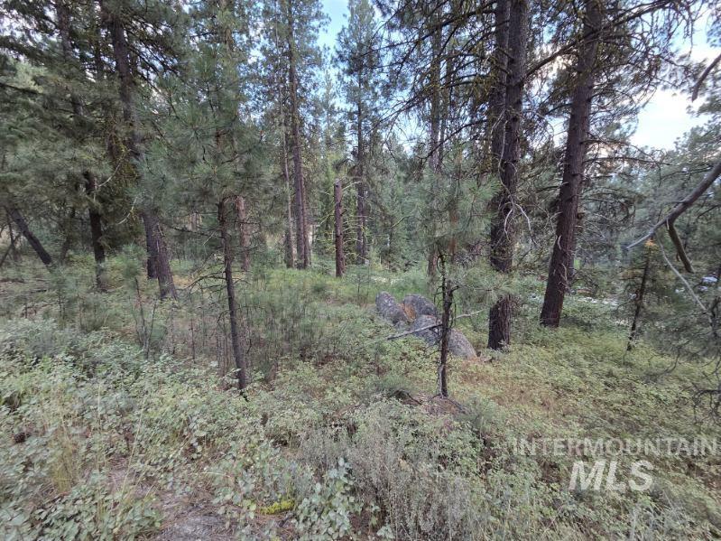 1291 Crown Point Pkwy Property Photo 1