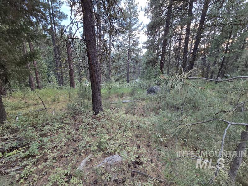 1291 Crown Point Pkwy Property Photo 10